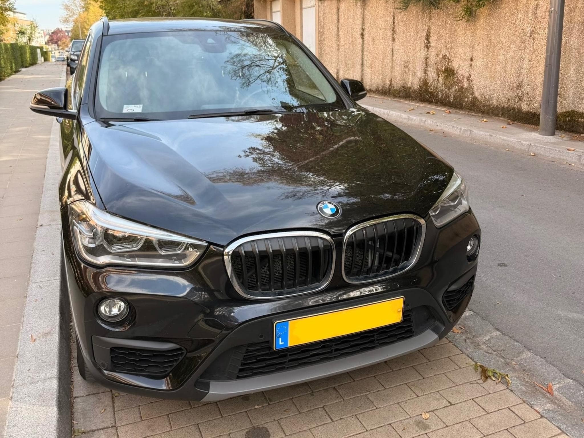 BMW X1 sDrive20i Steptronic (2019) - Photo 1