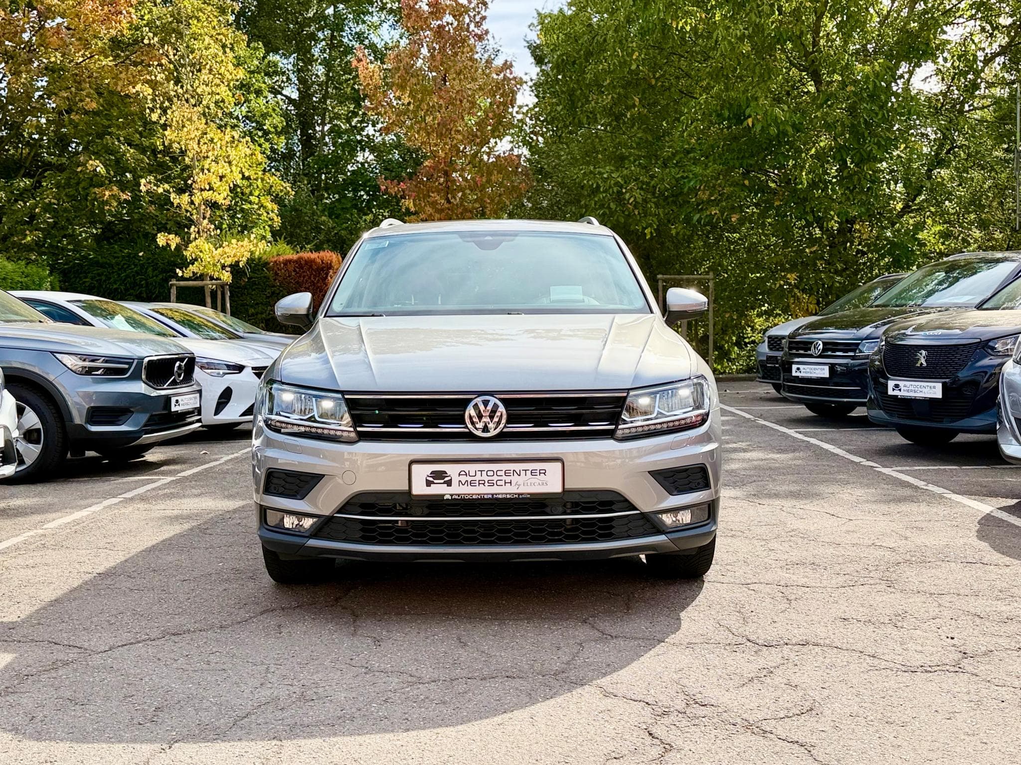 VW Tiguan 2.0 TSI 190 DSG7 4Motion Highline Pano/Cam/Head-Up (2019) - Photo 2
