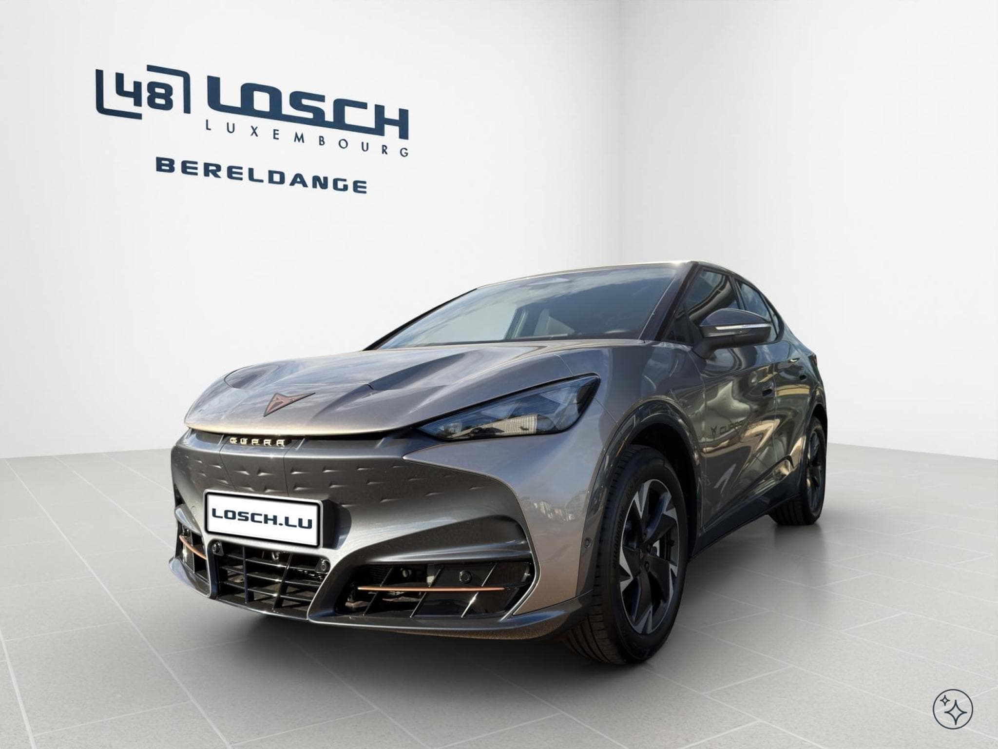 Cupra Tavascan Endurance (2026) - Photo 3