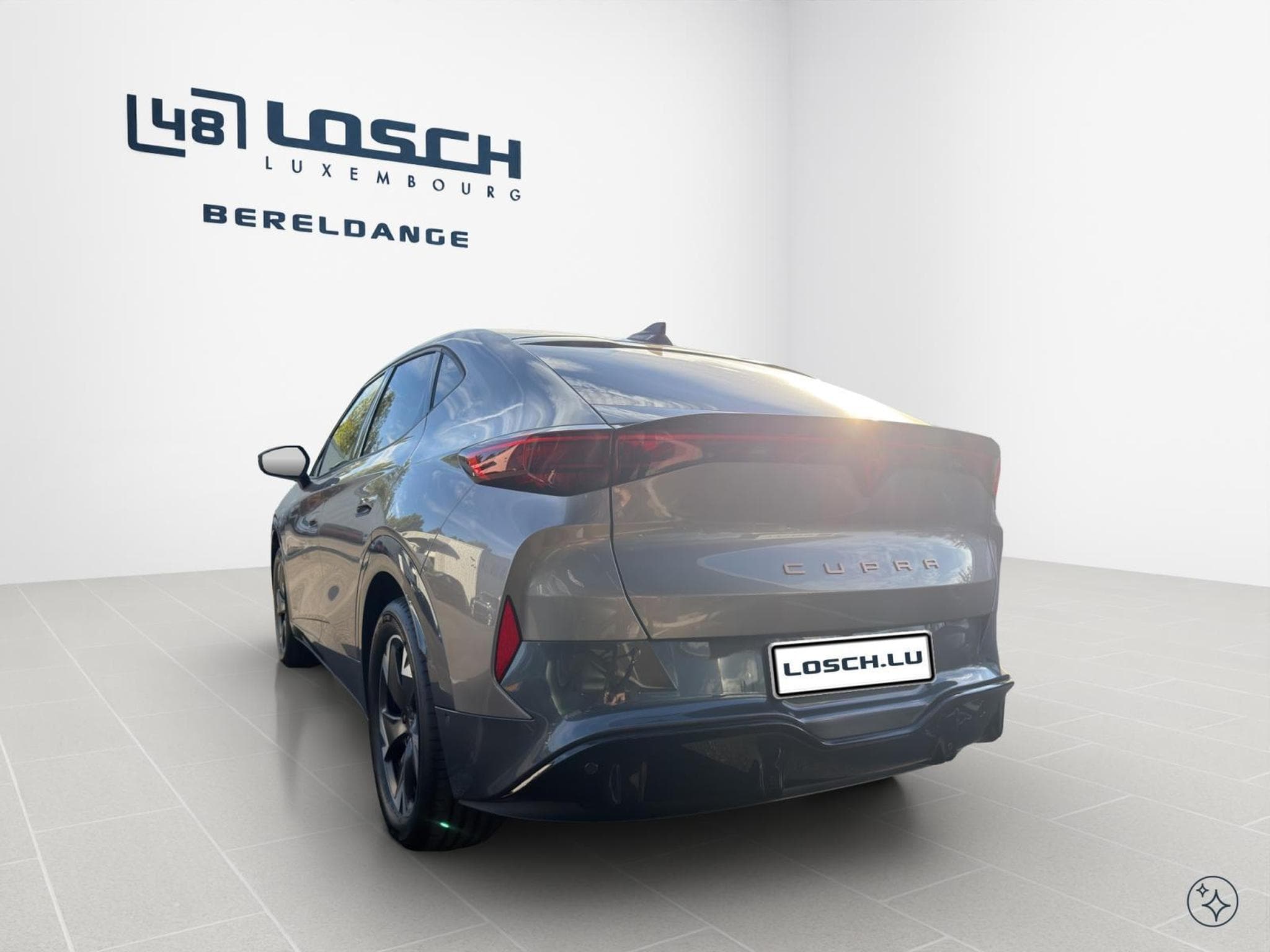 Cupra Tavascan Endurance (2026) - Photo 7