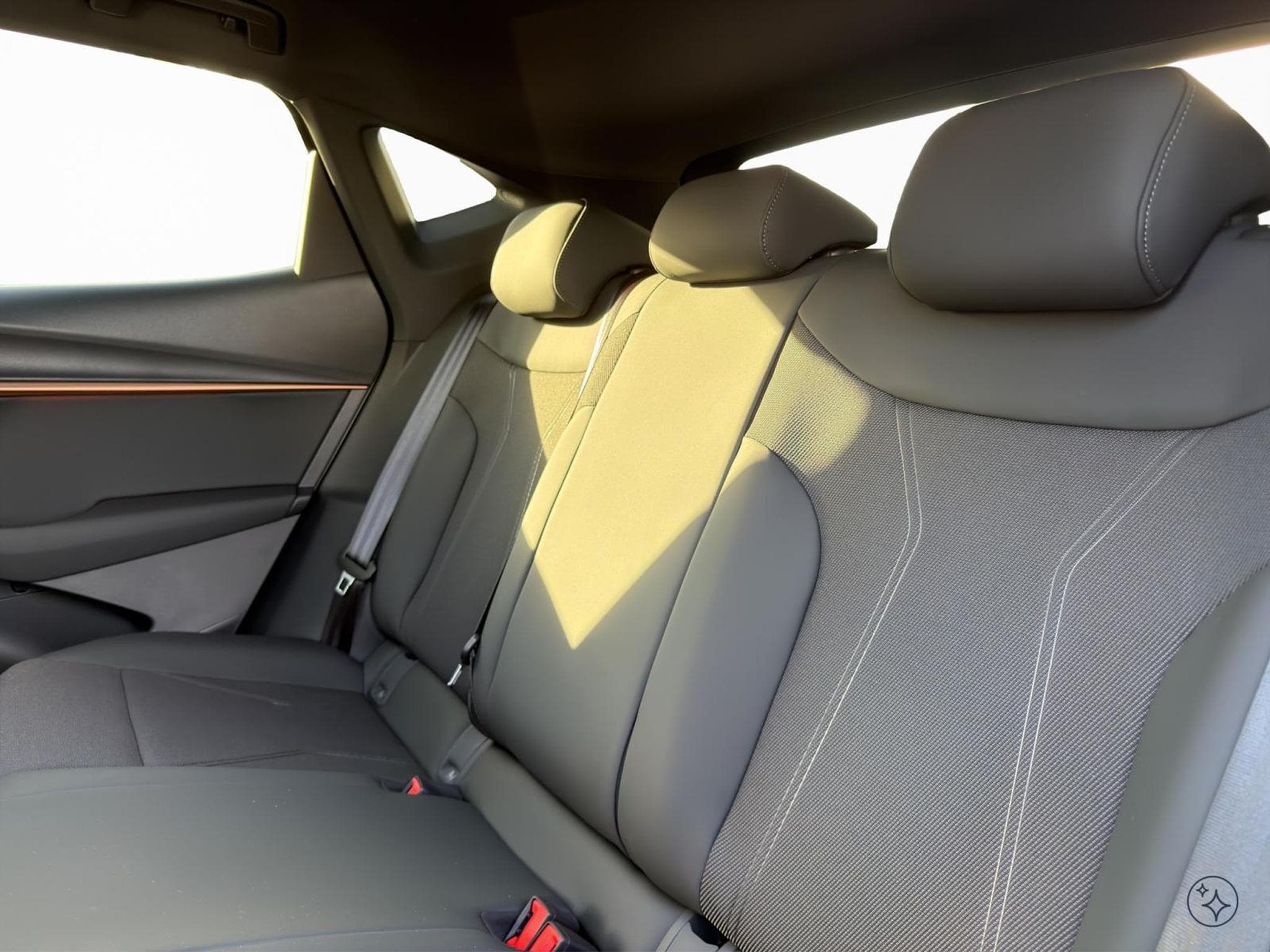 Cupra Tavascan Endurance (2026) - Photo 10