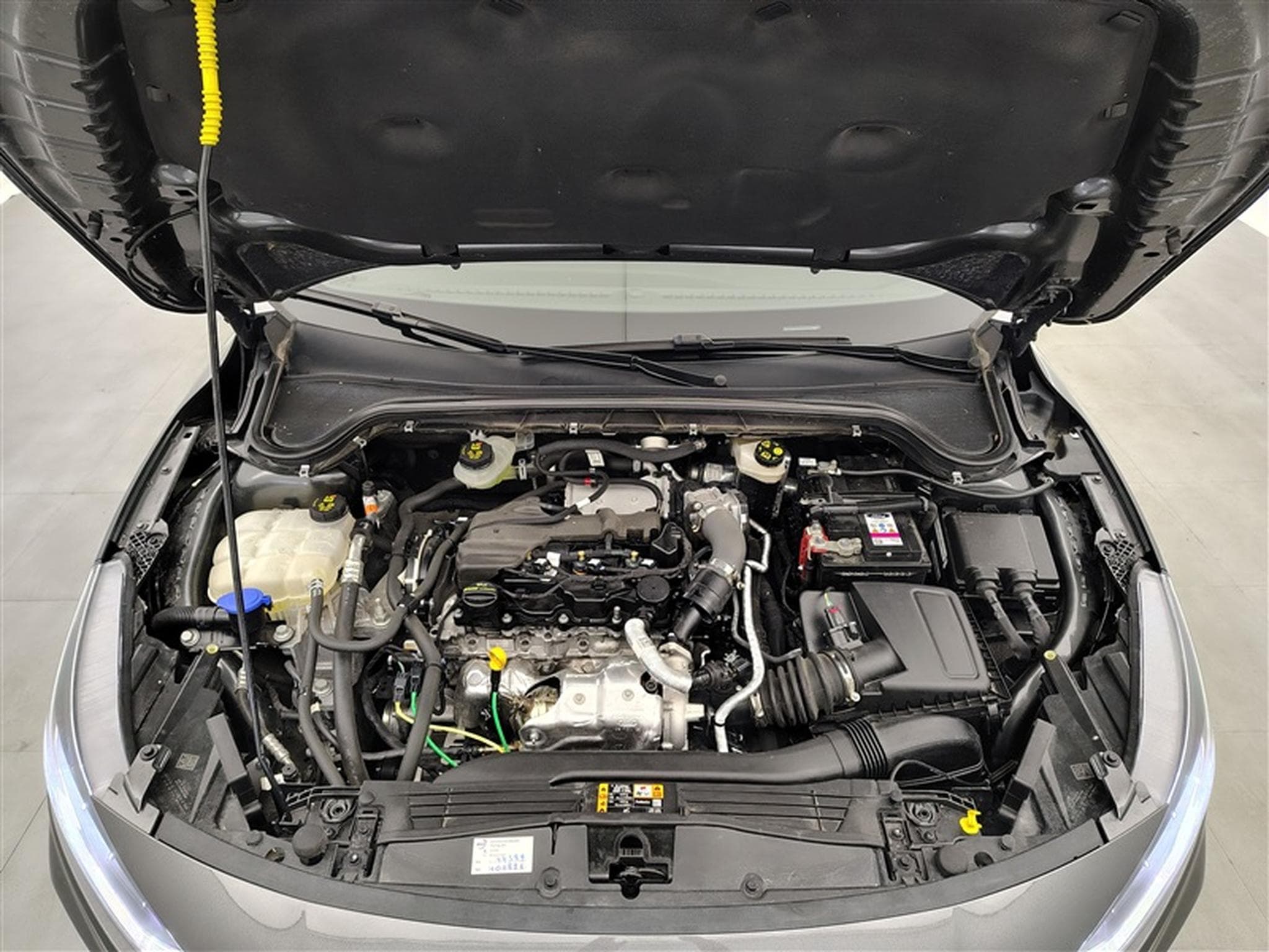 Ford Focus 1.5 EcoBlue 115cv PowerShift ST-Line NAVI / FULL LED / CAM (2025) - Photo 19