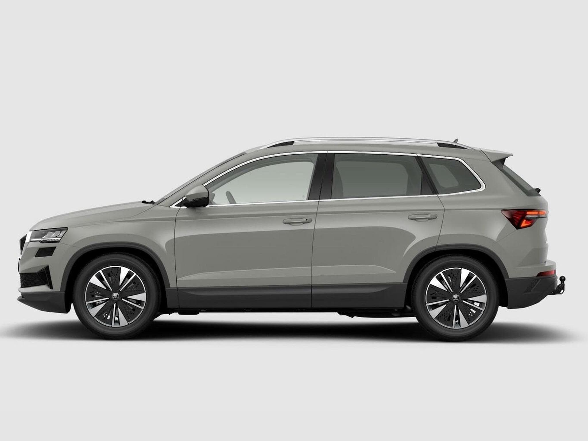 Skoda Karoq Selection (2026) - Foto 2