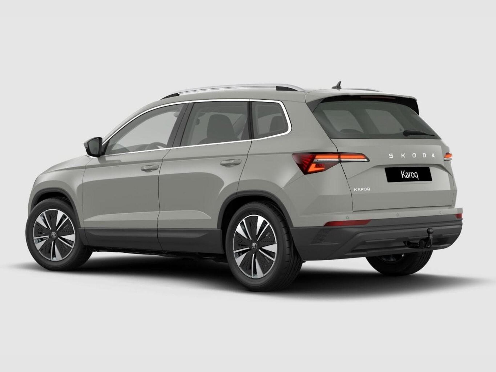 Skoda Karoq Selection (2026) - Foto 3
