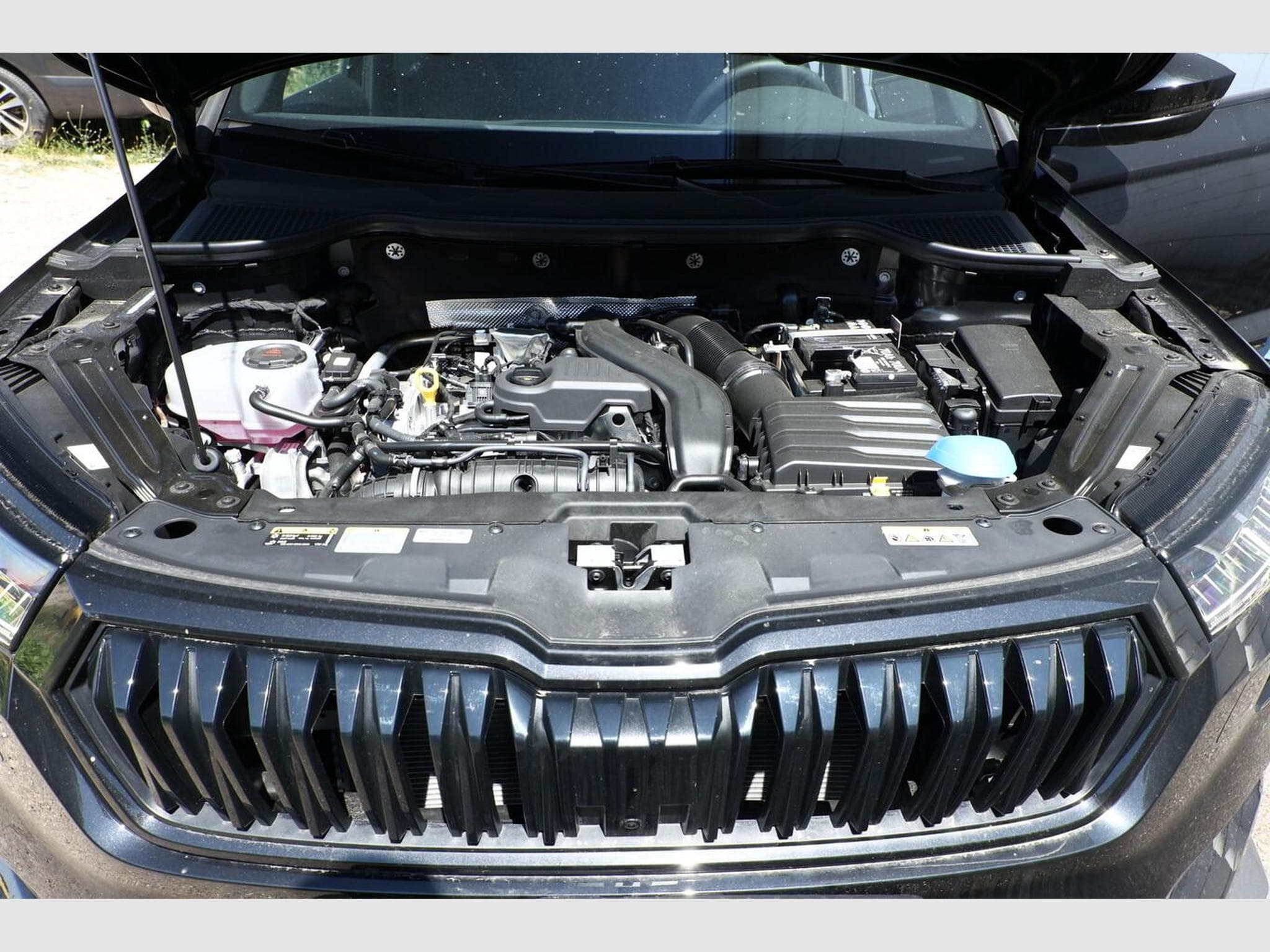 Skoda Karoq Sportline (2026) - Foto 12