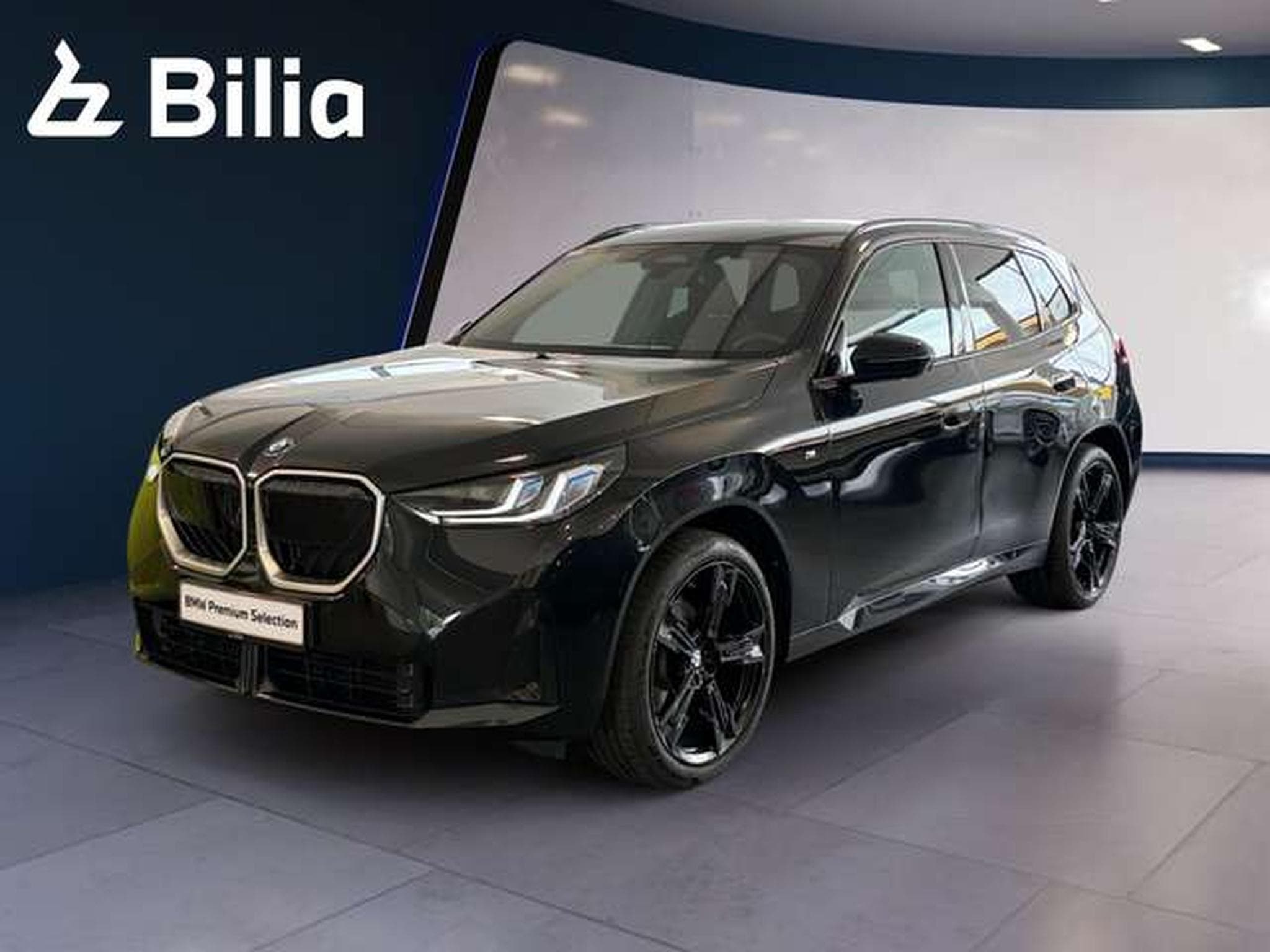 BMW X3 xDrive20d HK HiFi DAB LED (2025) - Foto 1