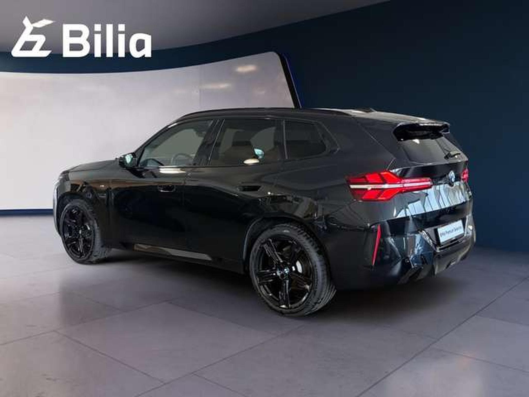 BMW X3 xDrive20d HK HiFi DAB LED (2025) - Foto 4