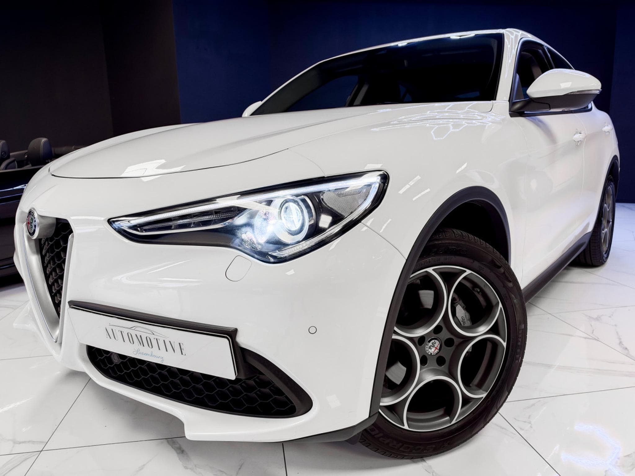 Alfa-Romeo Stelvio Q4 2.0 Turbo AWD (2018) - Photo 14