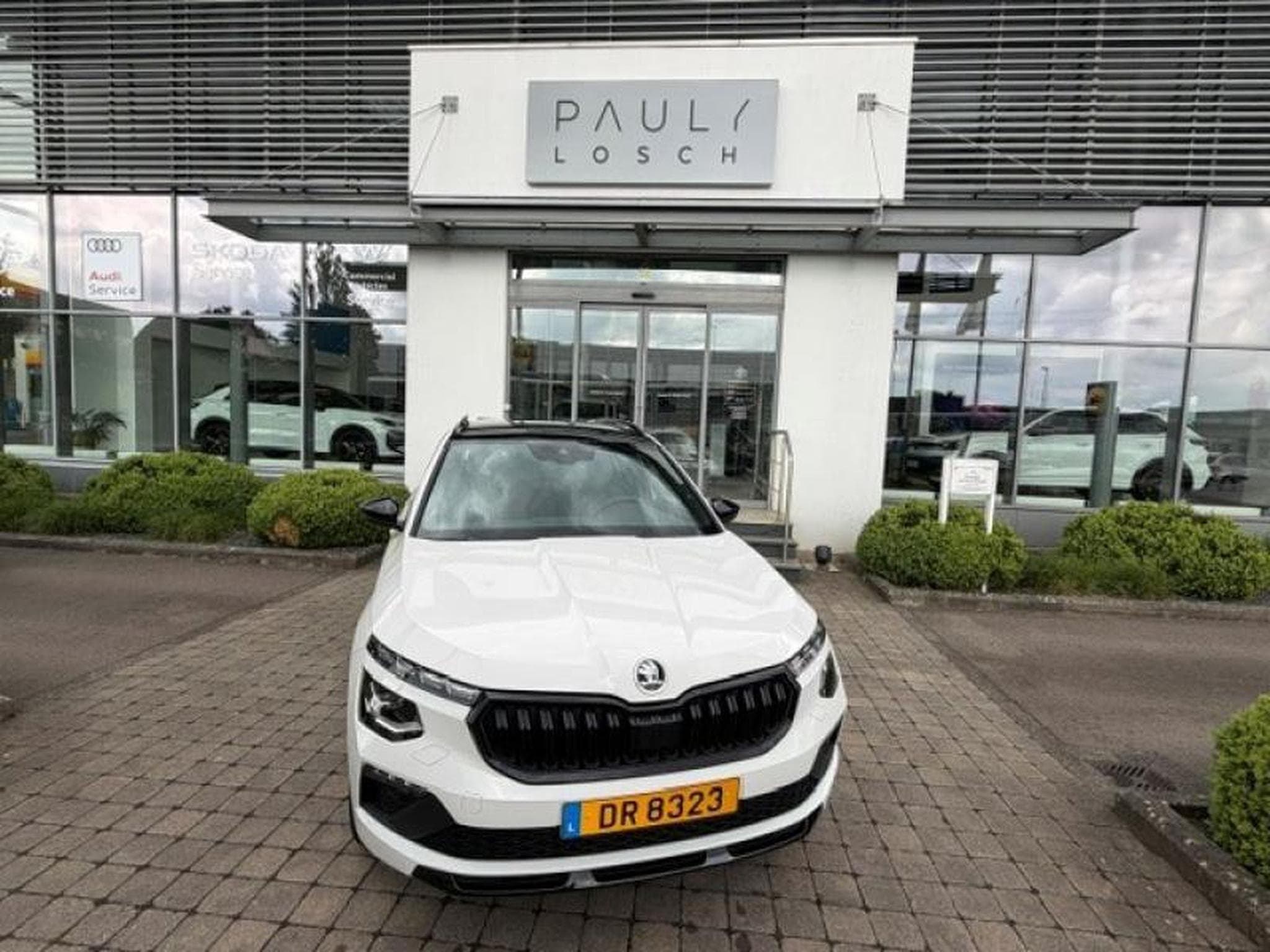 Skoda Kamiq Monte-Carlo+DSG (2025) - Foto 3