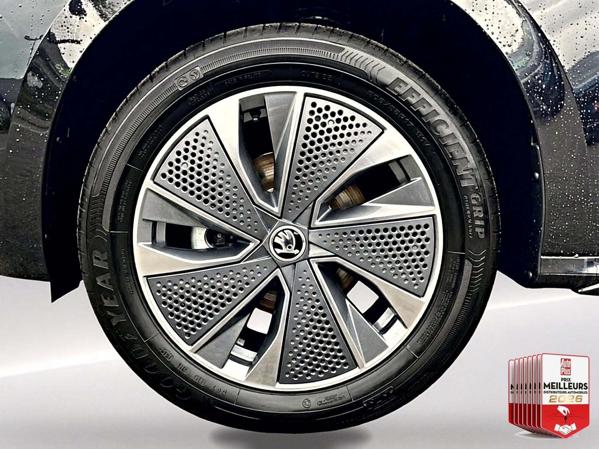 Skoda KAMIQ 1.0 TSI EVO 2 116 MONTE CARLO DSG7 (2026) - Foto 9