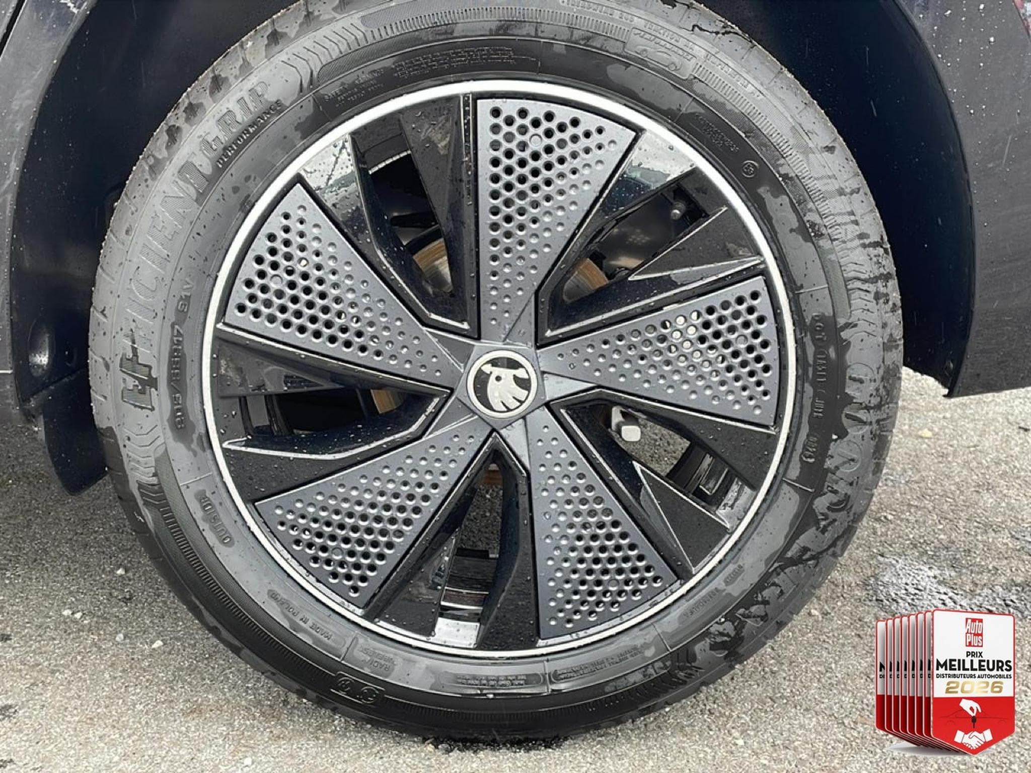 Skoda KAMIQ 1.0 TSI EVO 2 116 MONTE CARLO DSG7 (2026) - Foto 13
