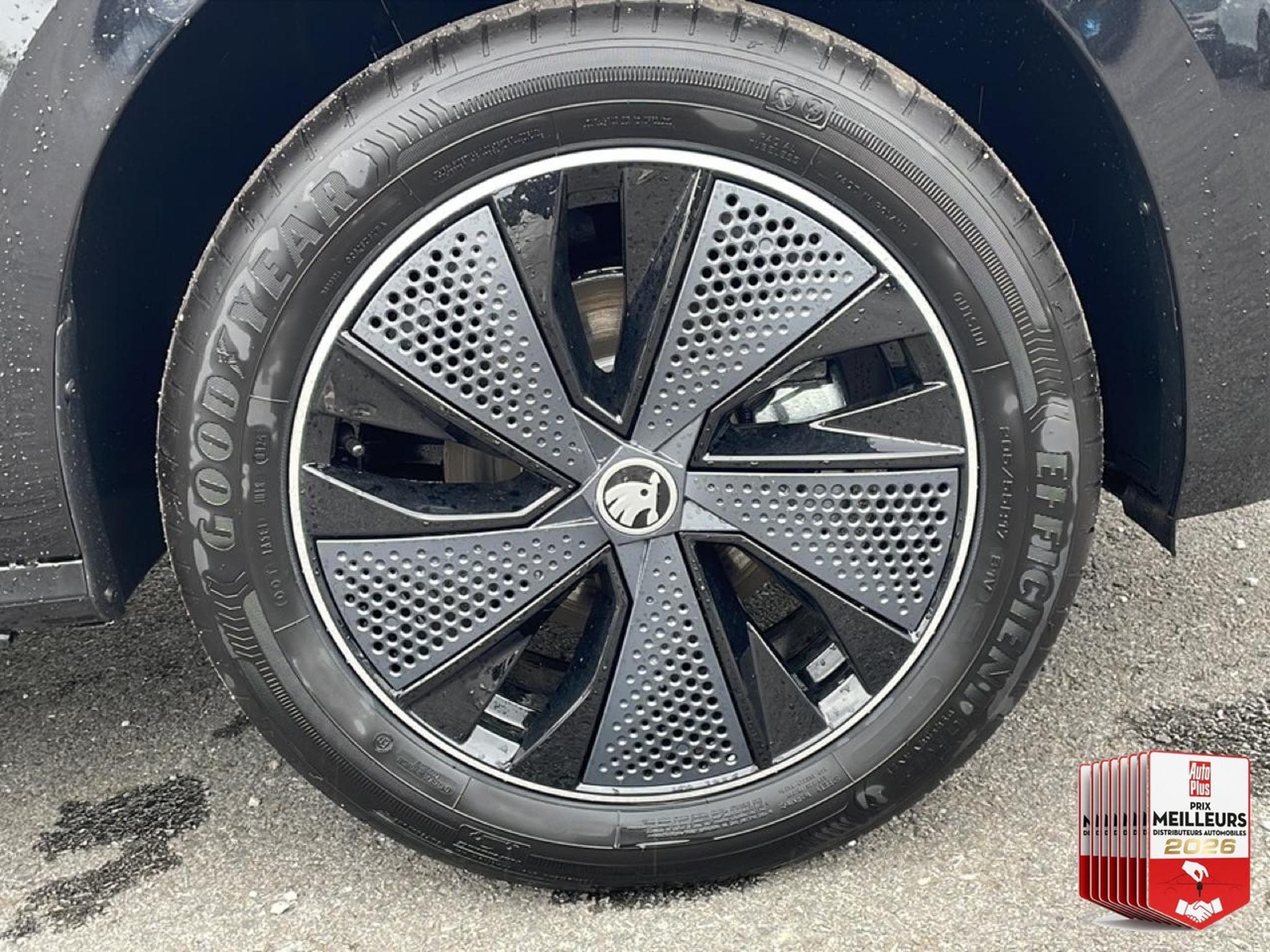 Skoda KAMIQ 1.0 TSI EVO 2 116 MONTE CARLO DSG7 (2026) - Foto 15