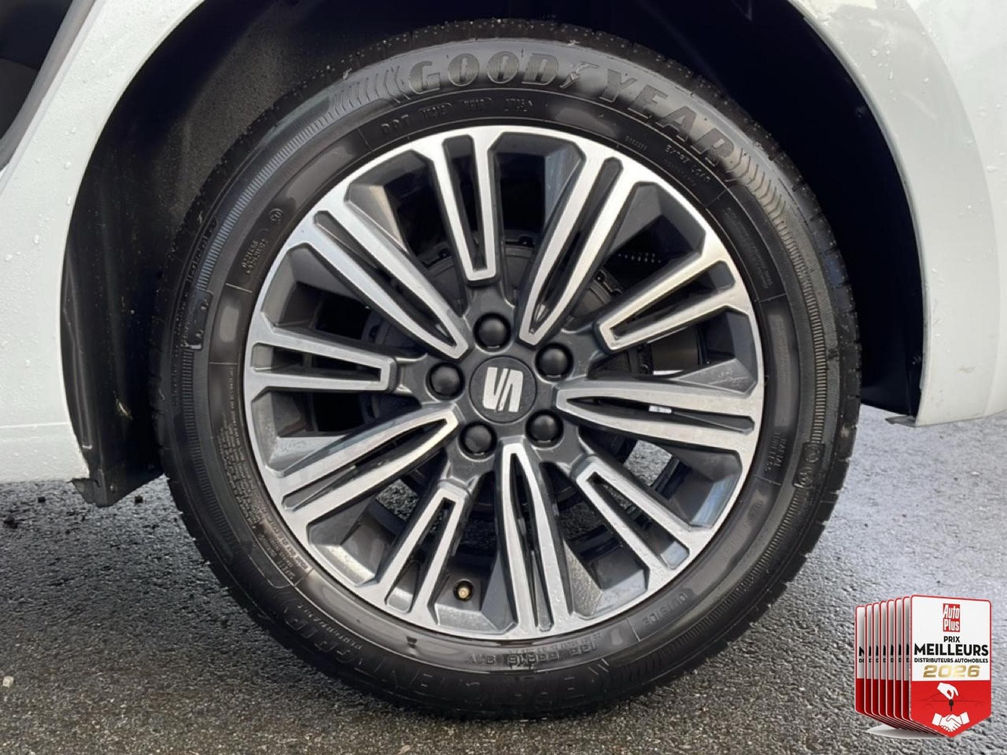 Seat IBIZA 1.0 TSI 95 COPA (2025) - Foto 13