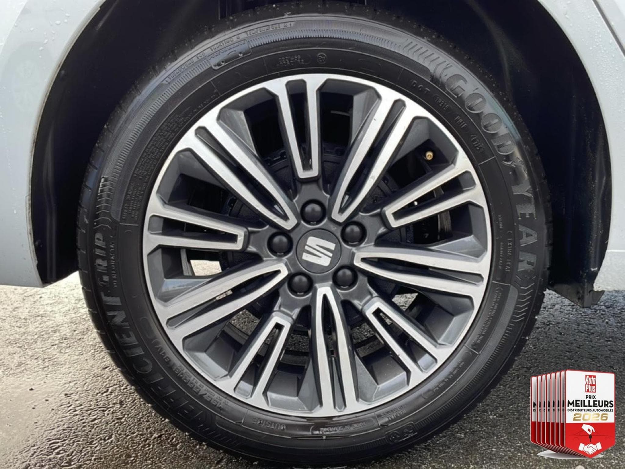 Seat IBIZA 1.0 TSI 95 COPA (2025) - Foto 18