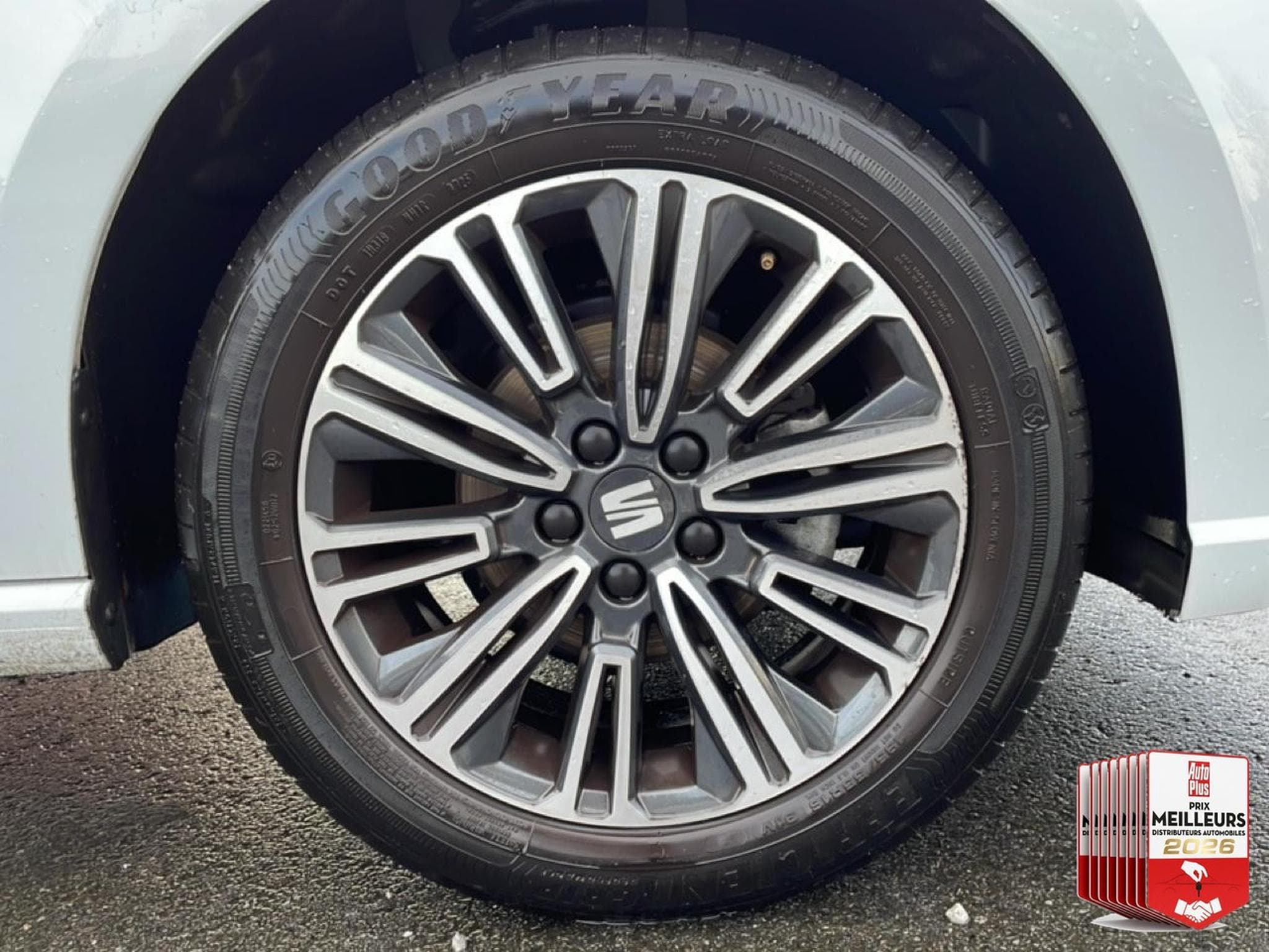Seat IBIZA 1.0 TSI 95 COPA (2025) - Foto 19