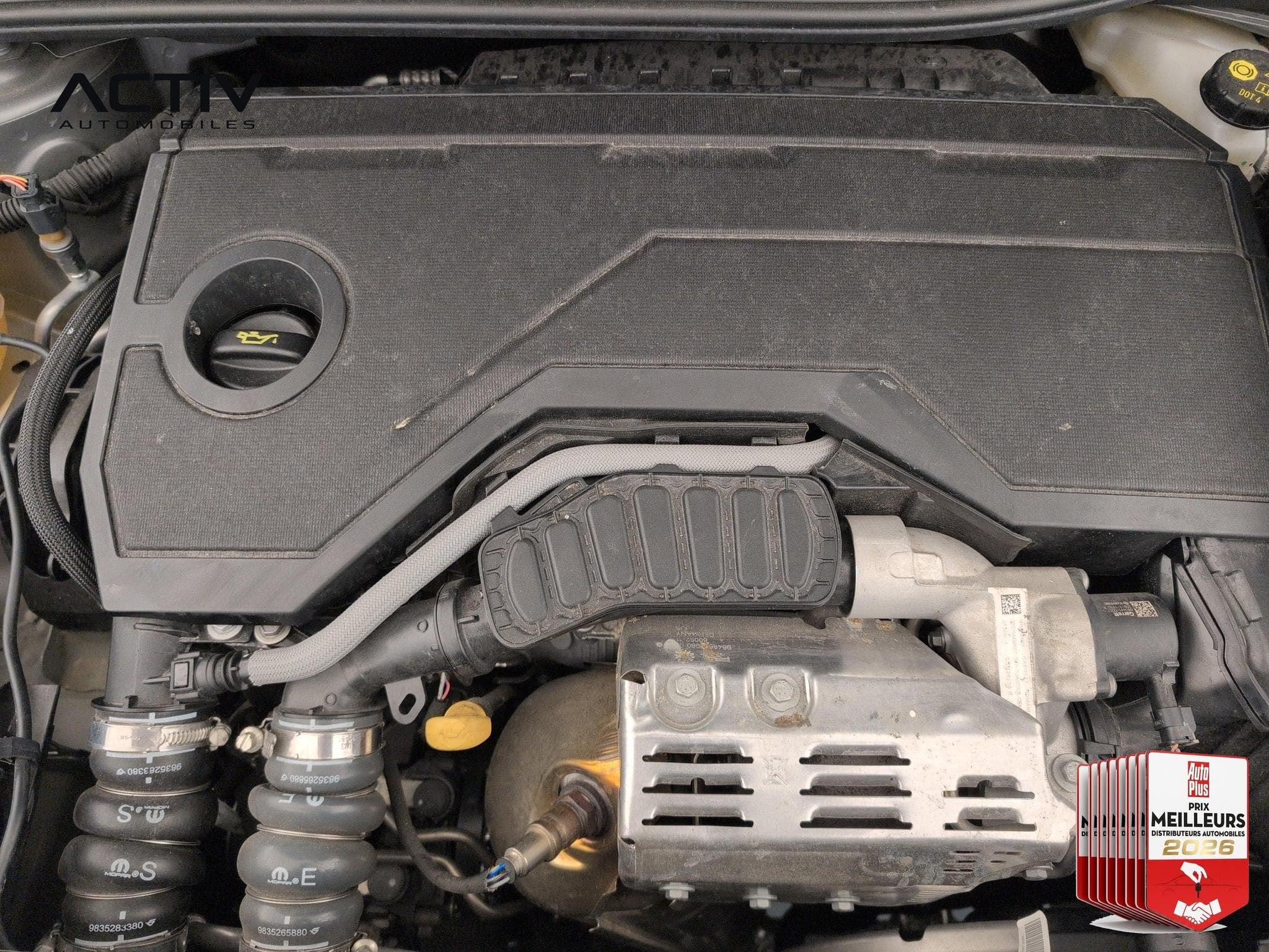 Citroën C4 Hybride 145 ch e-DCS6 Plus (2025) - Photo 21