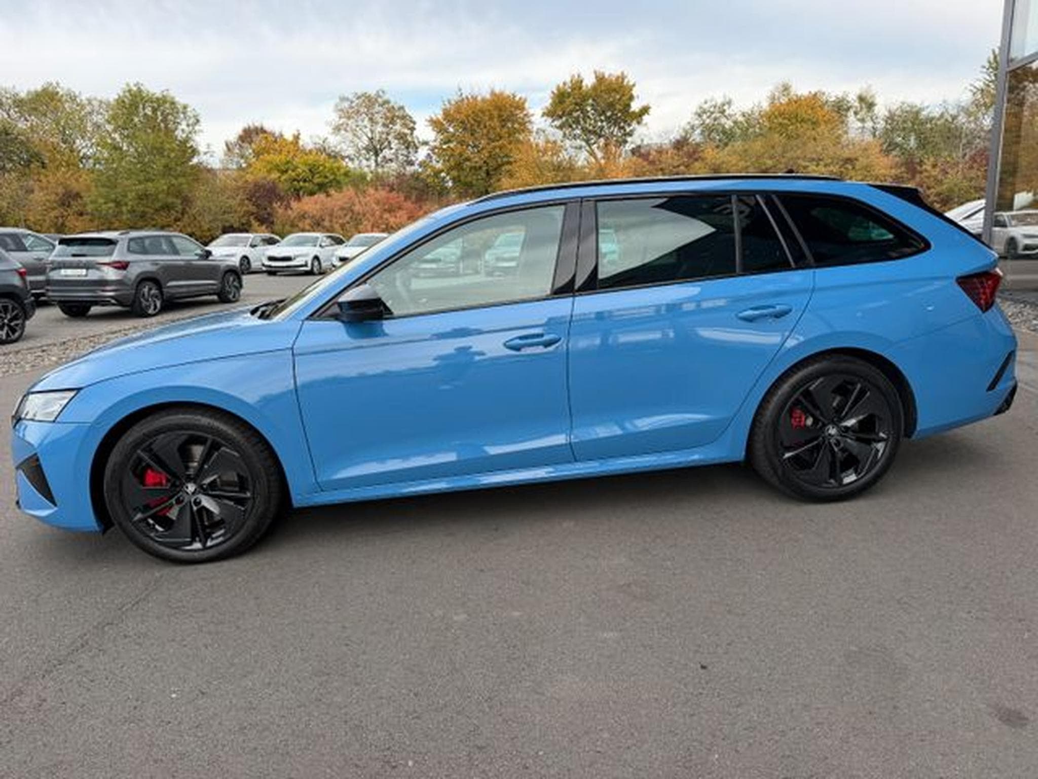 Skoda Octavia Octavia Kombi 2.0TSI RS AHK Standhz Canton 360° (2025) - Photo 11