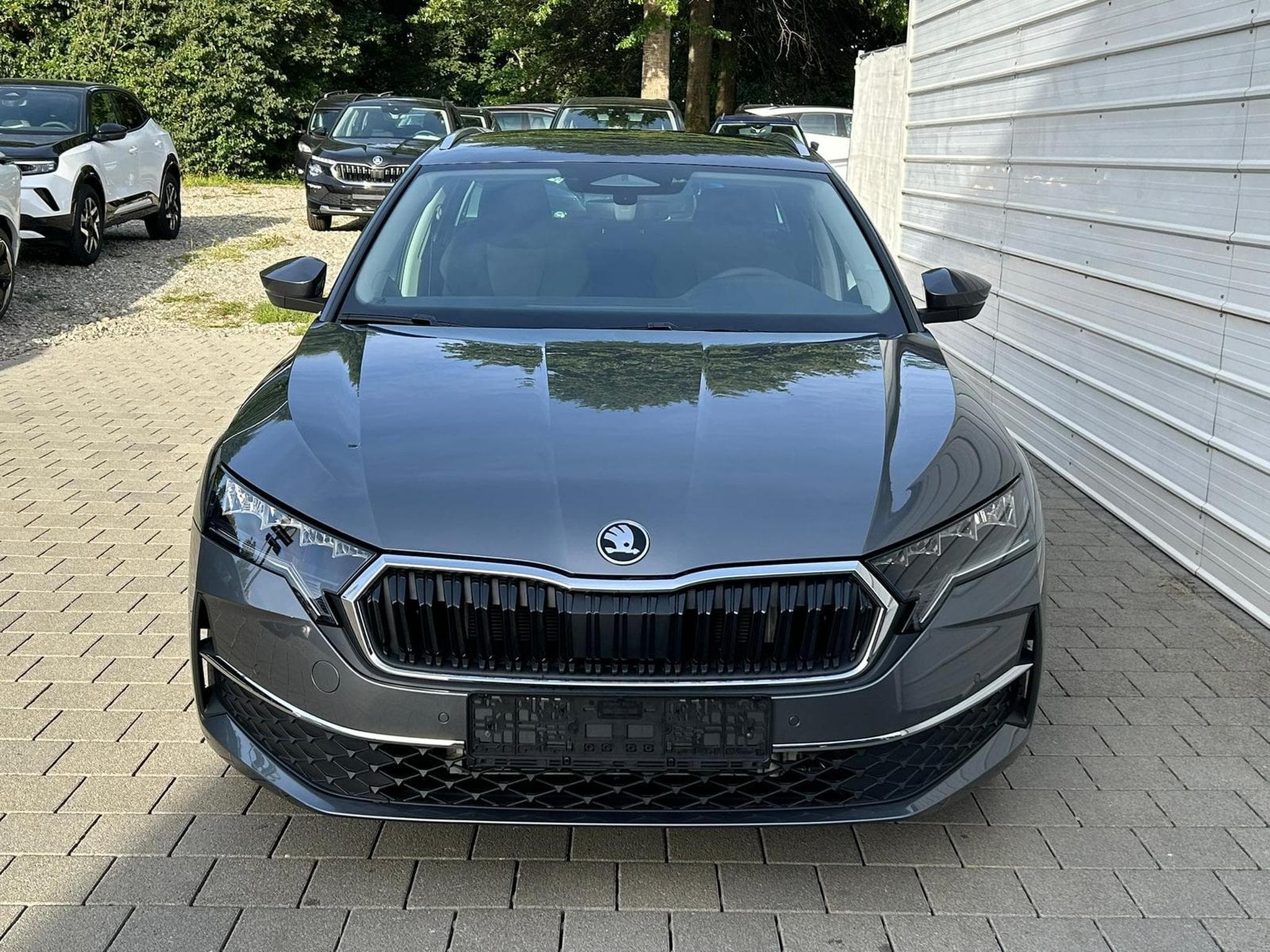 Skoda Octavia Selection (2026) - Photo 2