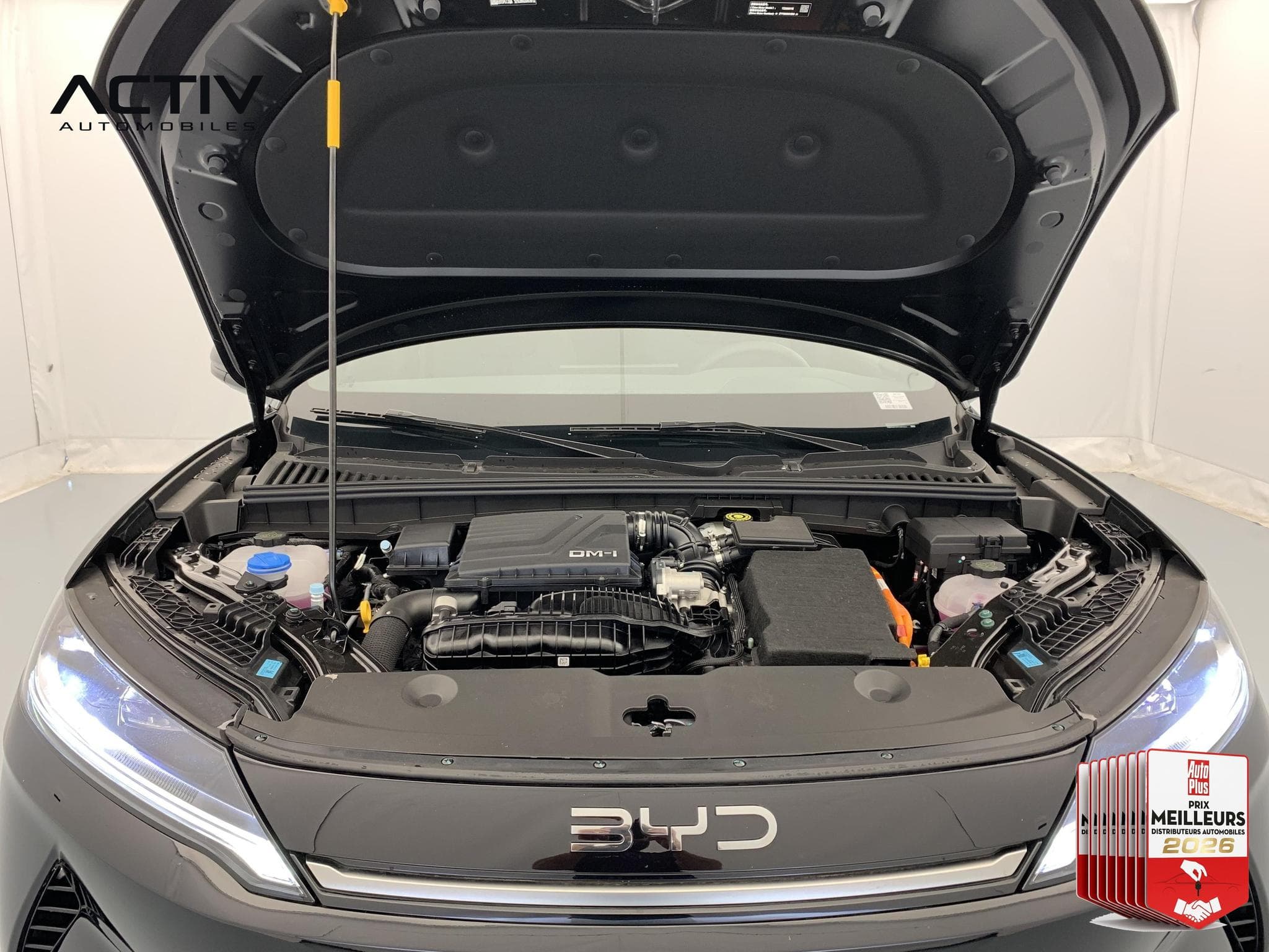 Byd ATTO 2 PHEV 1.5 DM-I BOOST (2026) - Foto 29