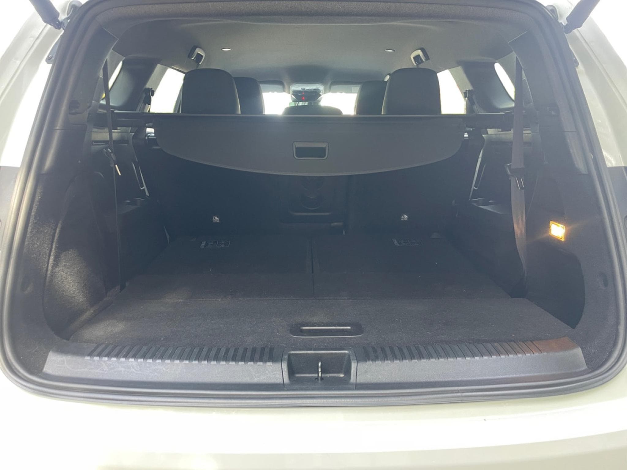 Renault Espace 1.2 E-Tech Techno Full Hybrid 200 7pl (2024) - Foto 5