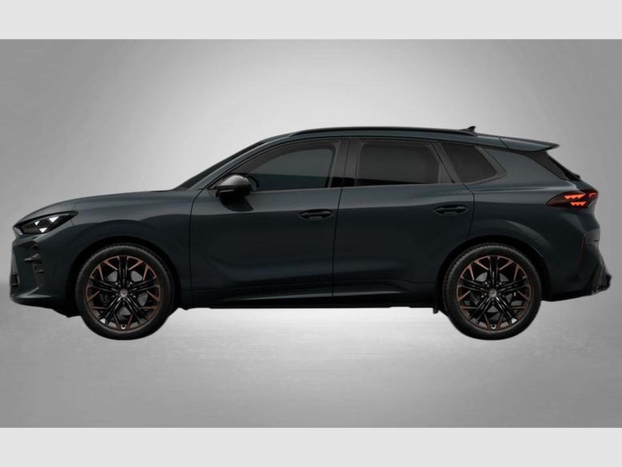 Cupra Terramar VZ 2.0 TSI 7-Gang-DSG 4Drive (2026) - Photo 2