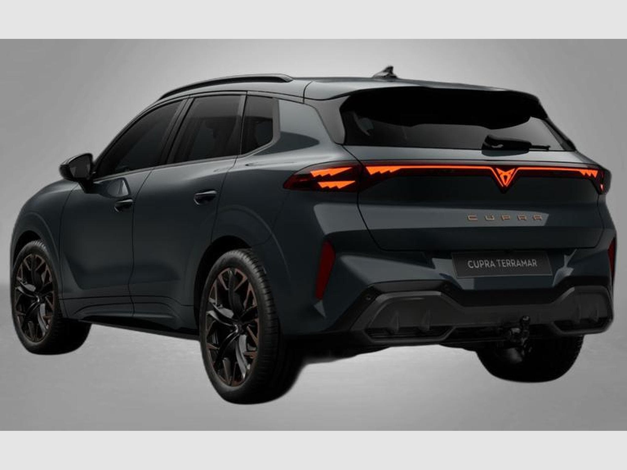 Cupra Terramar VZ 2.0 TSI 7-Gang-DSG 4Drive (2026) - Photo 3