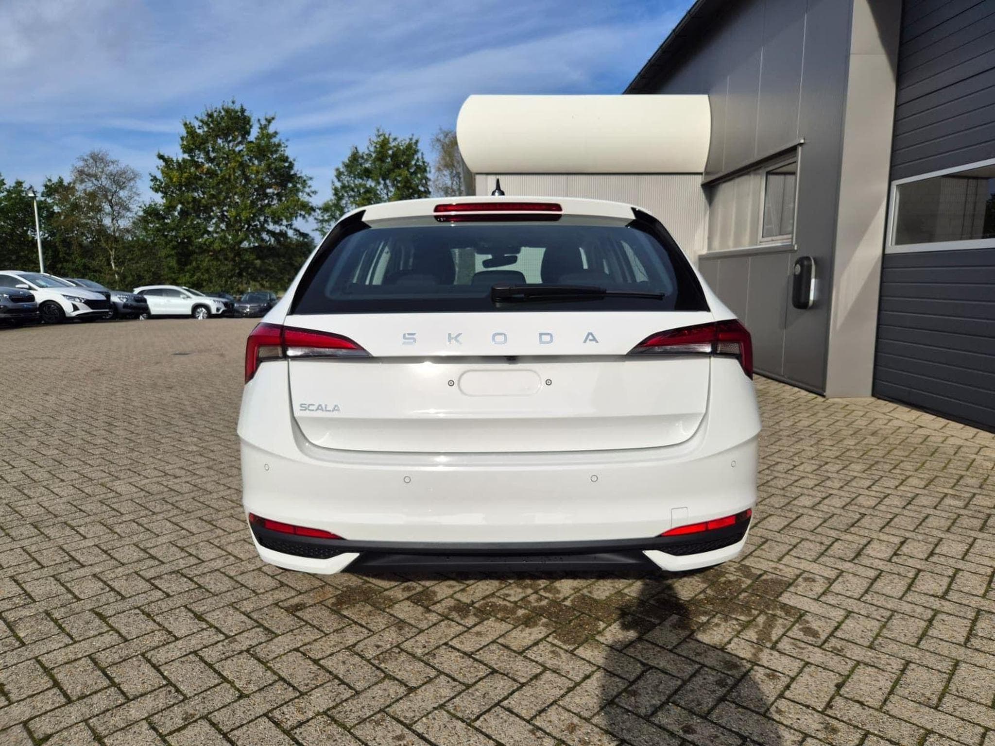 Skoda Scala 1.0 TSI 115PS (2026) - Foto 4