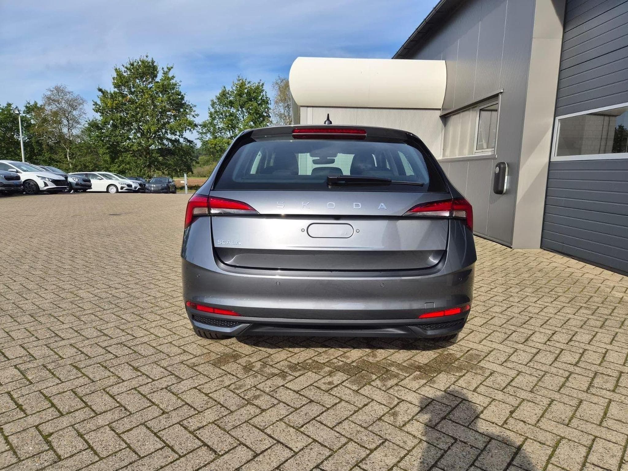 Skoda Scala 1.0 TSI 115PS (2026) - Foto 3