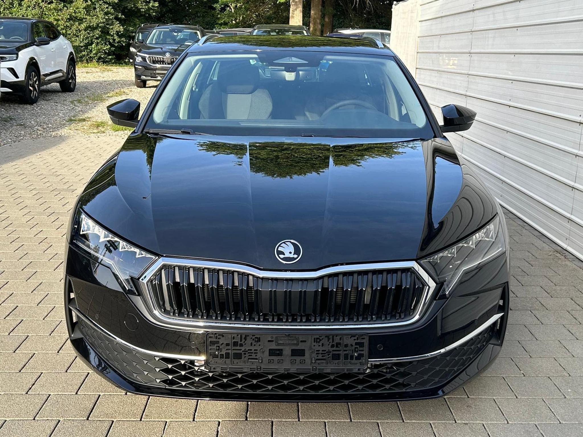 Skoda Octavia Selection (2026) - Foto 2