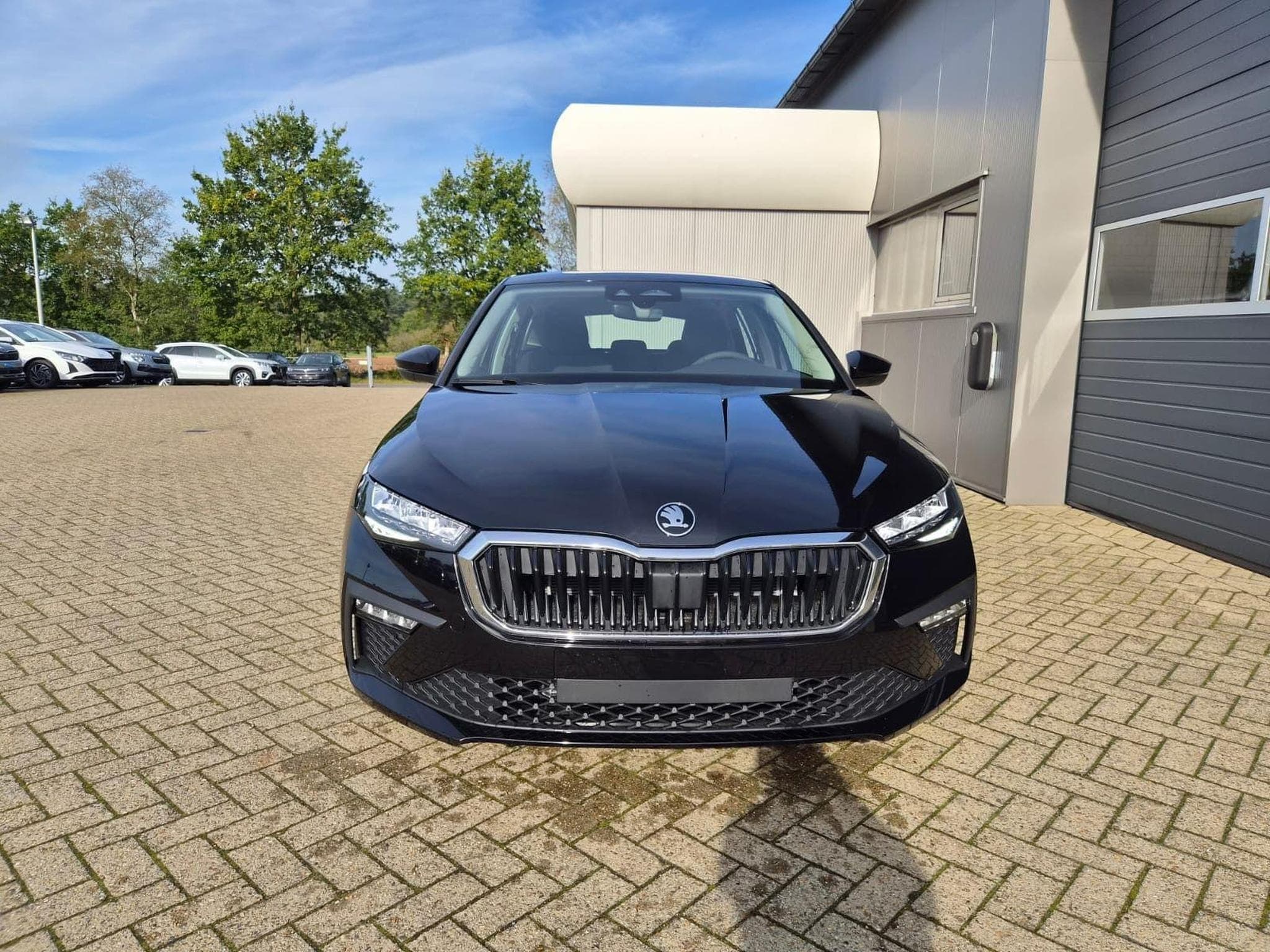 Skoda Scala 1.0 TSI 115PS (2026) - Foto 8