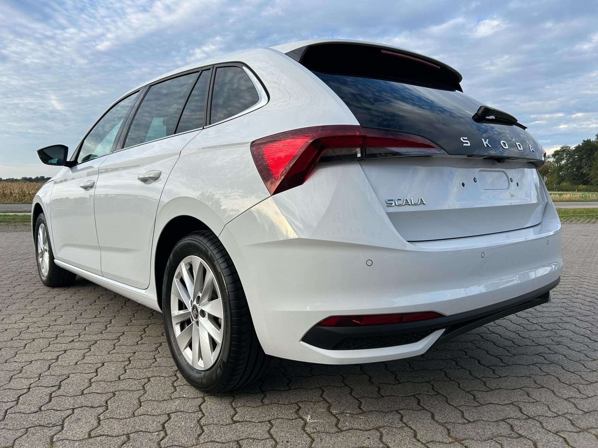 Skoda Scala Selection (2025) - Foto 17