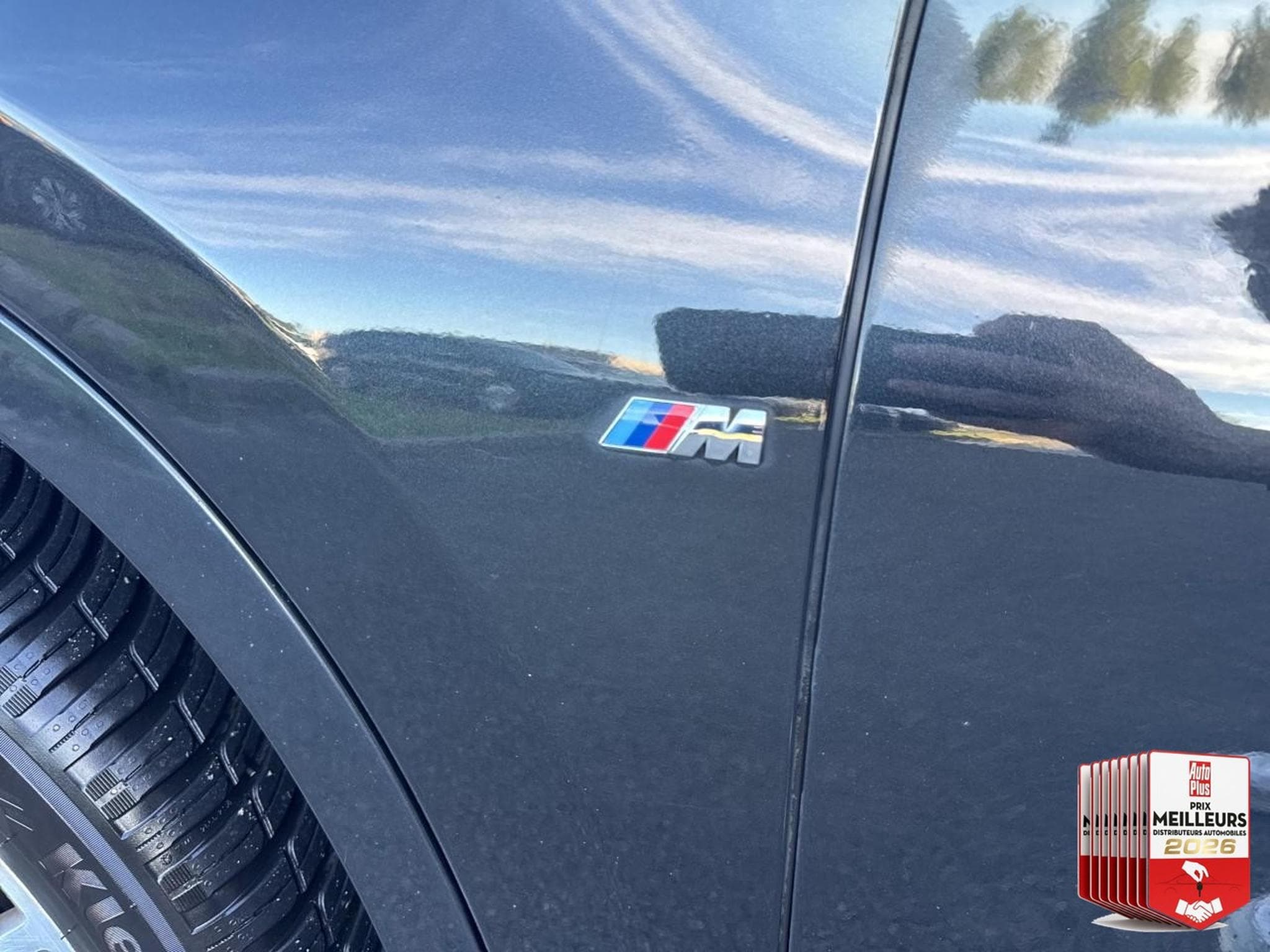 Bmw X1 (F48) SDRIVE18DA 150 M SPORT (2018) - Photo 32