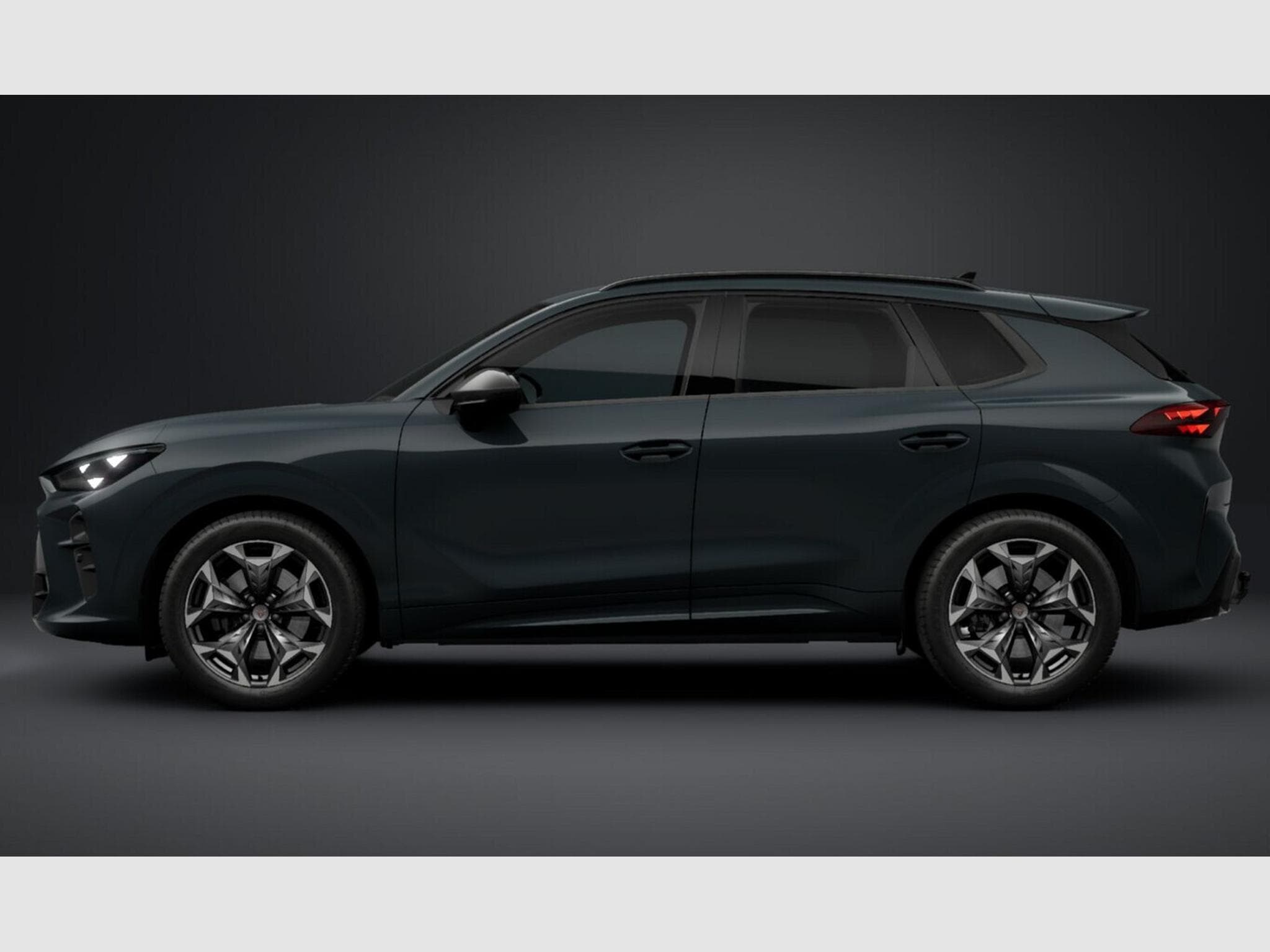 Cupra Terramar VZ 265cv DSG7 4Drive (2026) - Photo 3