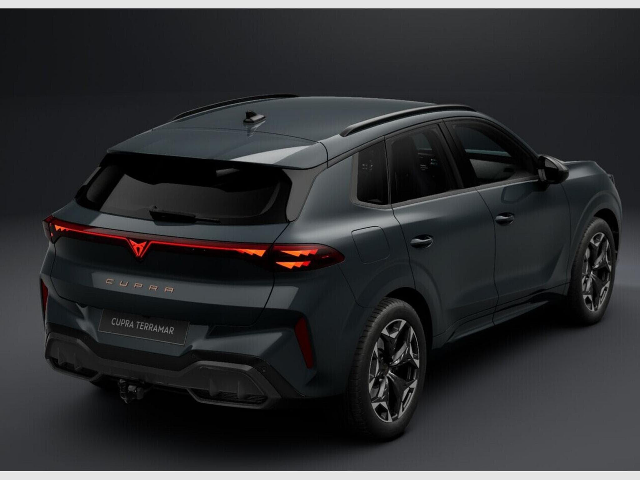 Cupra Terramar VZ 265cv DSG7 4Drive (2026) - Photo 4