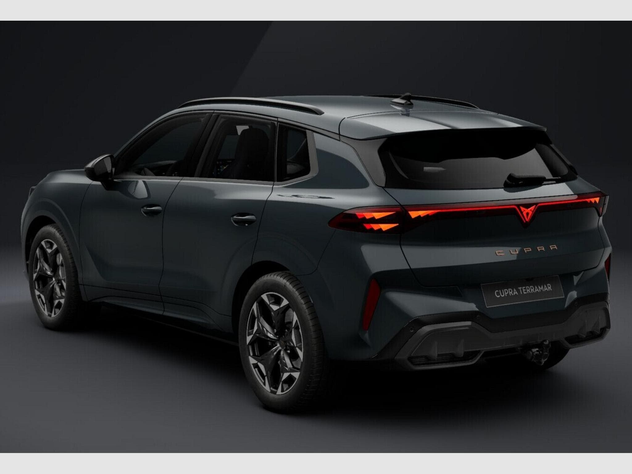 Cupra Terramar VZ 265cv DSG7 4Drive (2026) - Photo 5