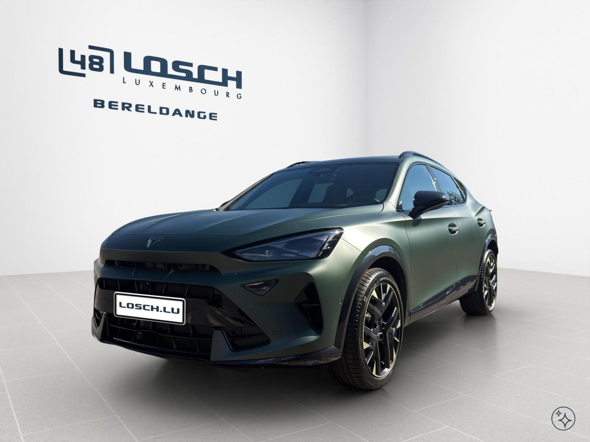 Cupra Formentor Tribe Edition (2026) - Photo 3