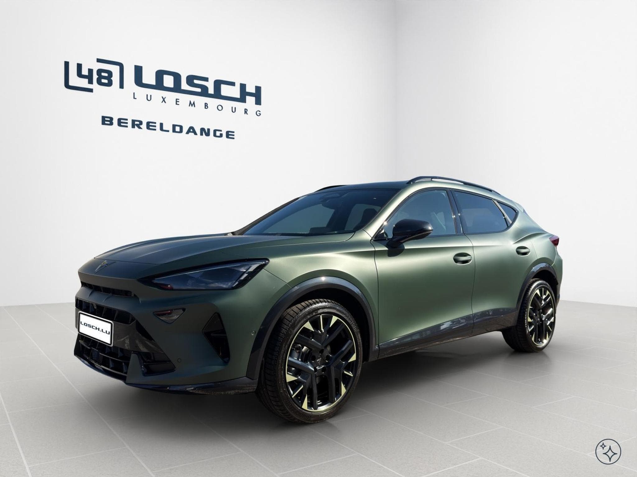 Cupra Formentor Tribe Edition (2026) - Photo 4