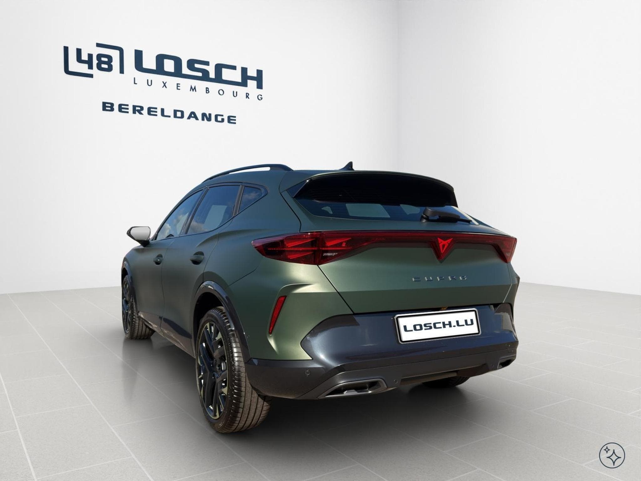 Cupra Formentor Tribe Edition (2026) - Photo 7