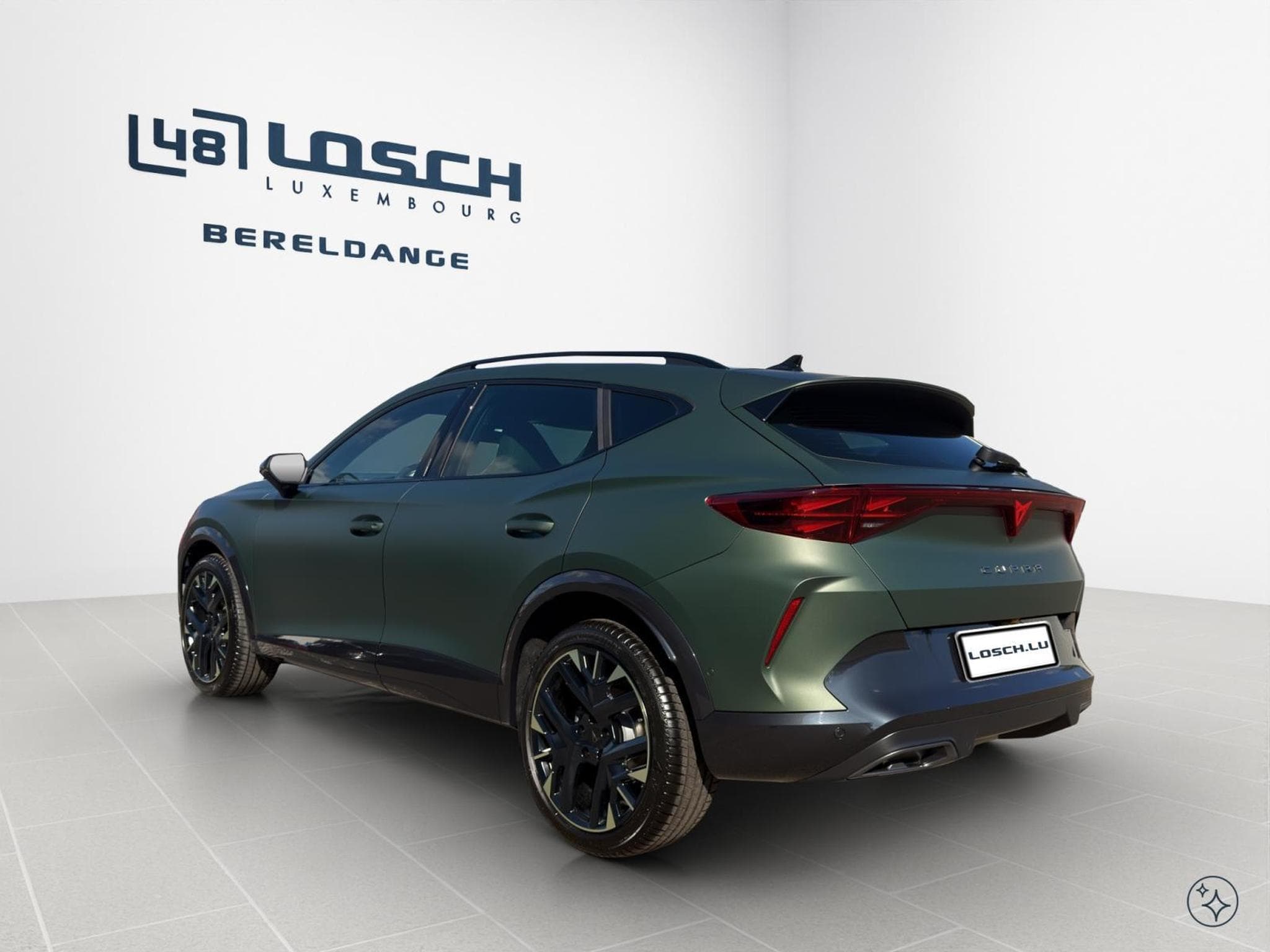 Cupra Formentor Tribe Edition (2026) - Photo 6