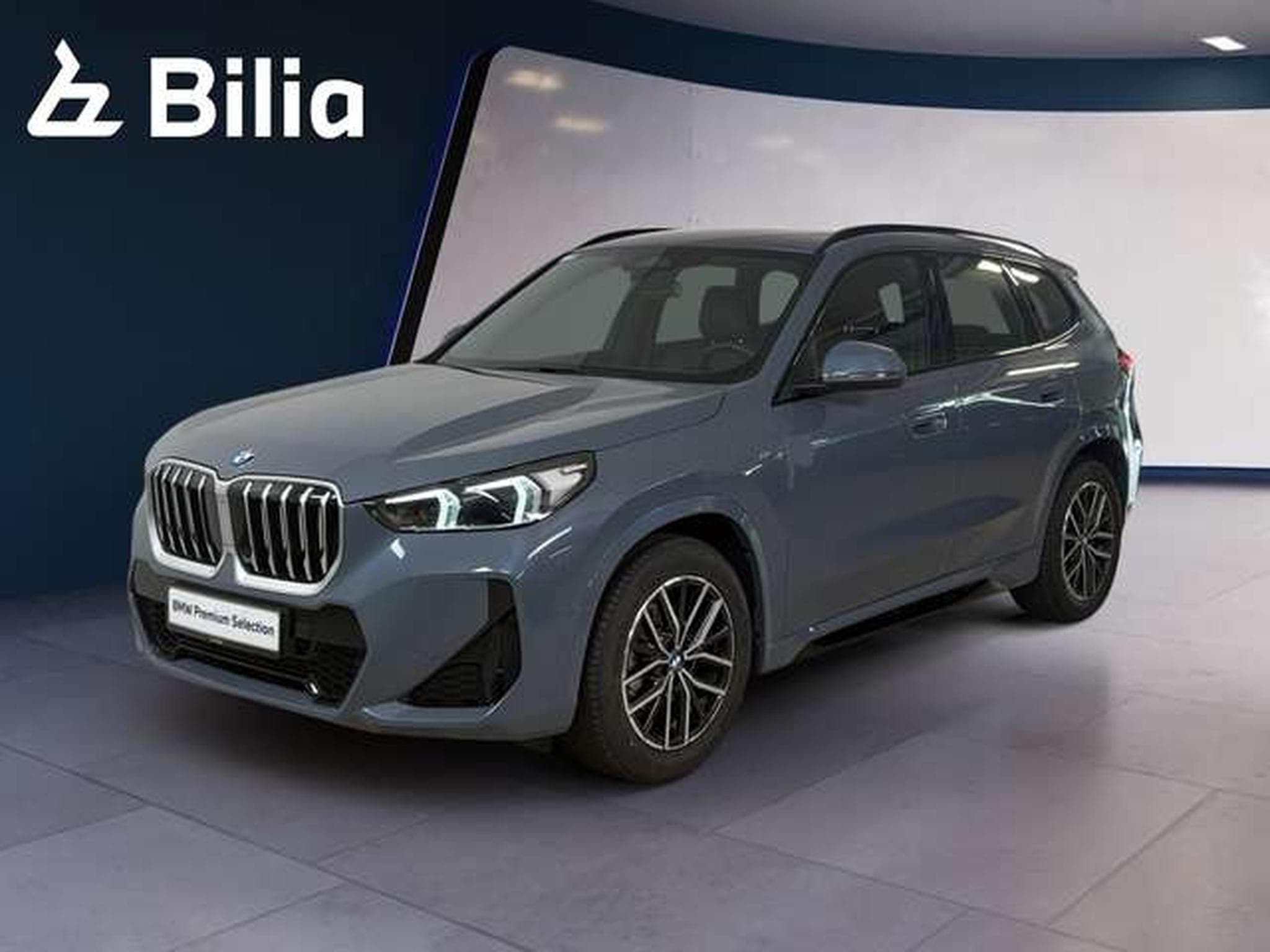 BMW X1 sDrive20d HK HiFi DAB LED Shz (2025) - Foto 1