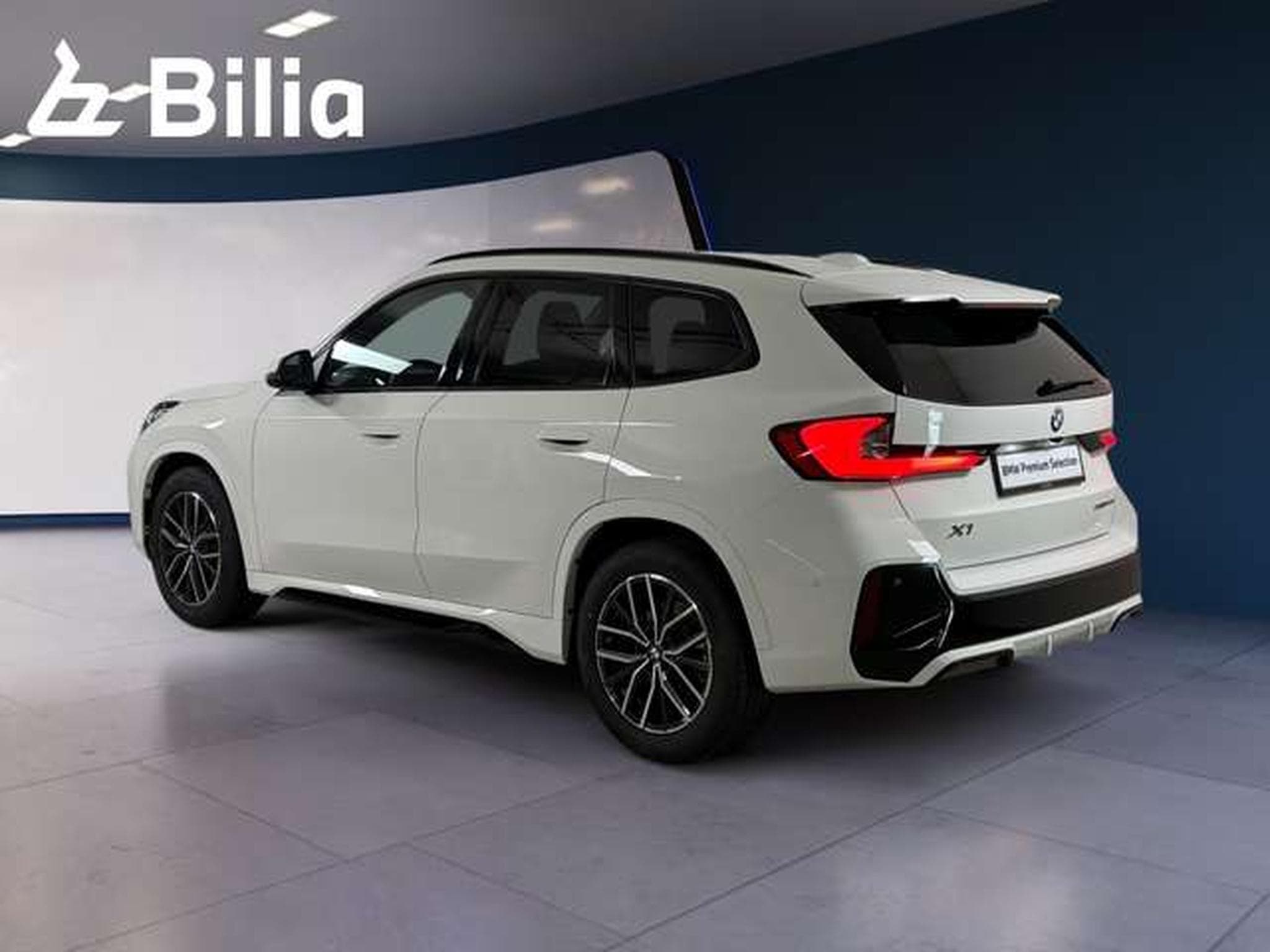 BMW X1 xDrive20d Head-Up HK HiFi DAB (2026) - Foto 4