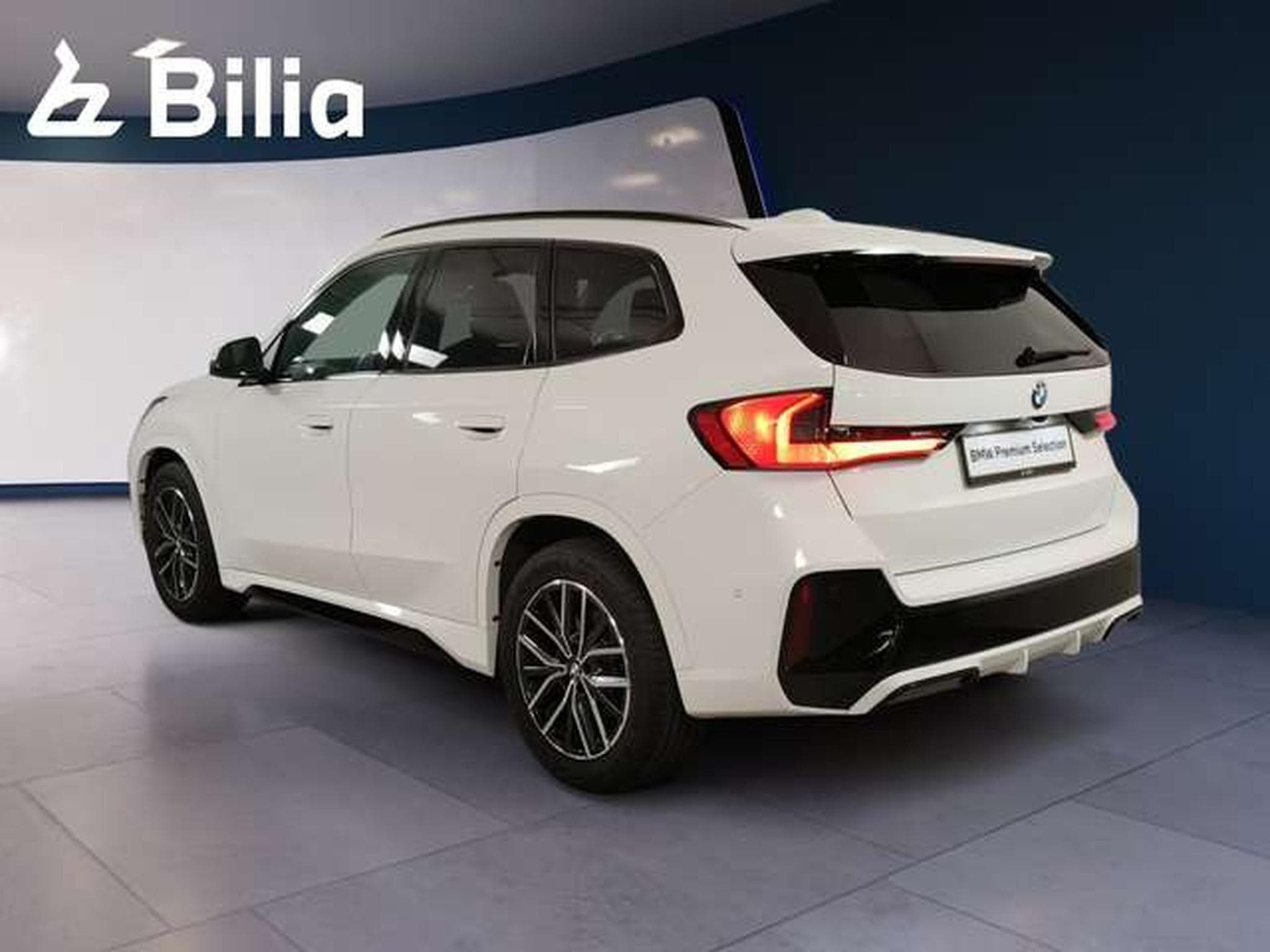 BMW X1 xDrive20d Head-Up HK HiFi DAB (2026) - Foto 4