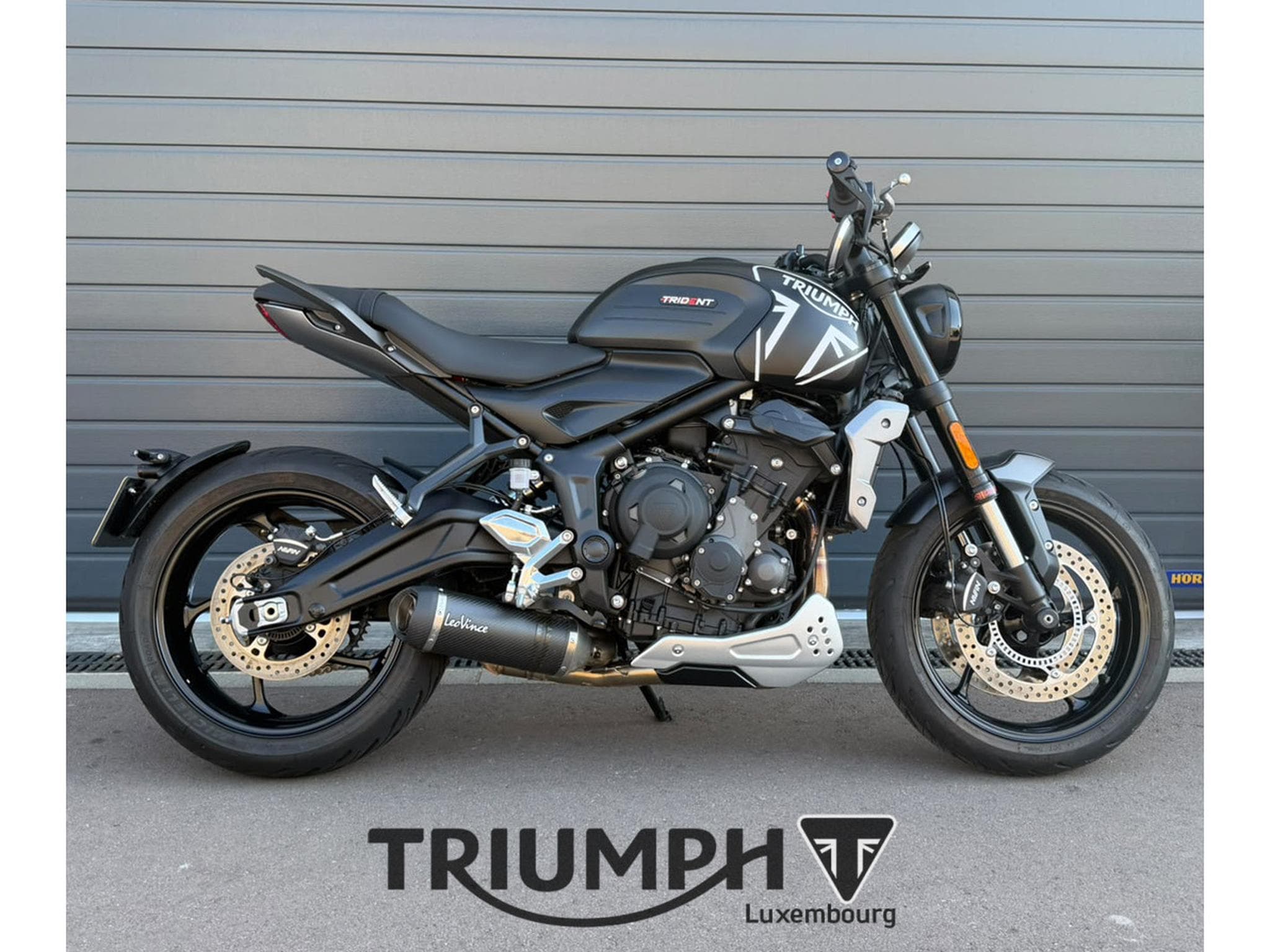 Triumph Trident TRIDENT 660 (2024) - Foto 4