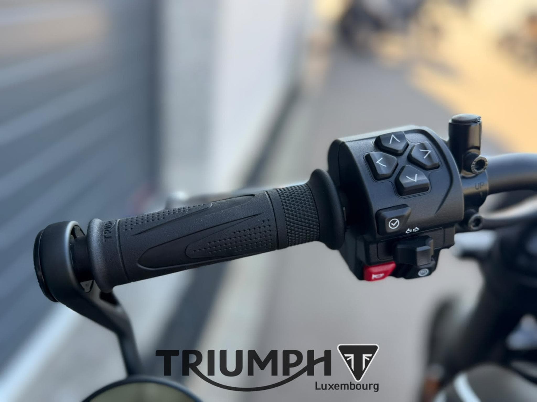 Triumph Trident TRIDENT 660 (2024) - Foto 7