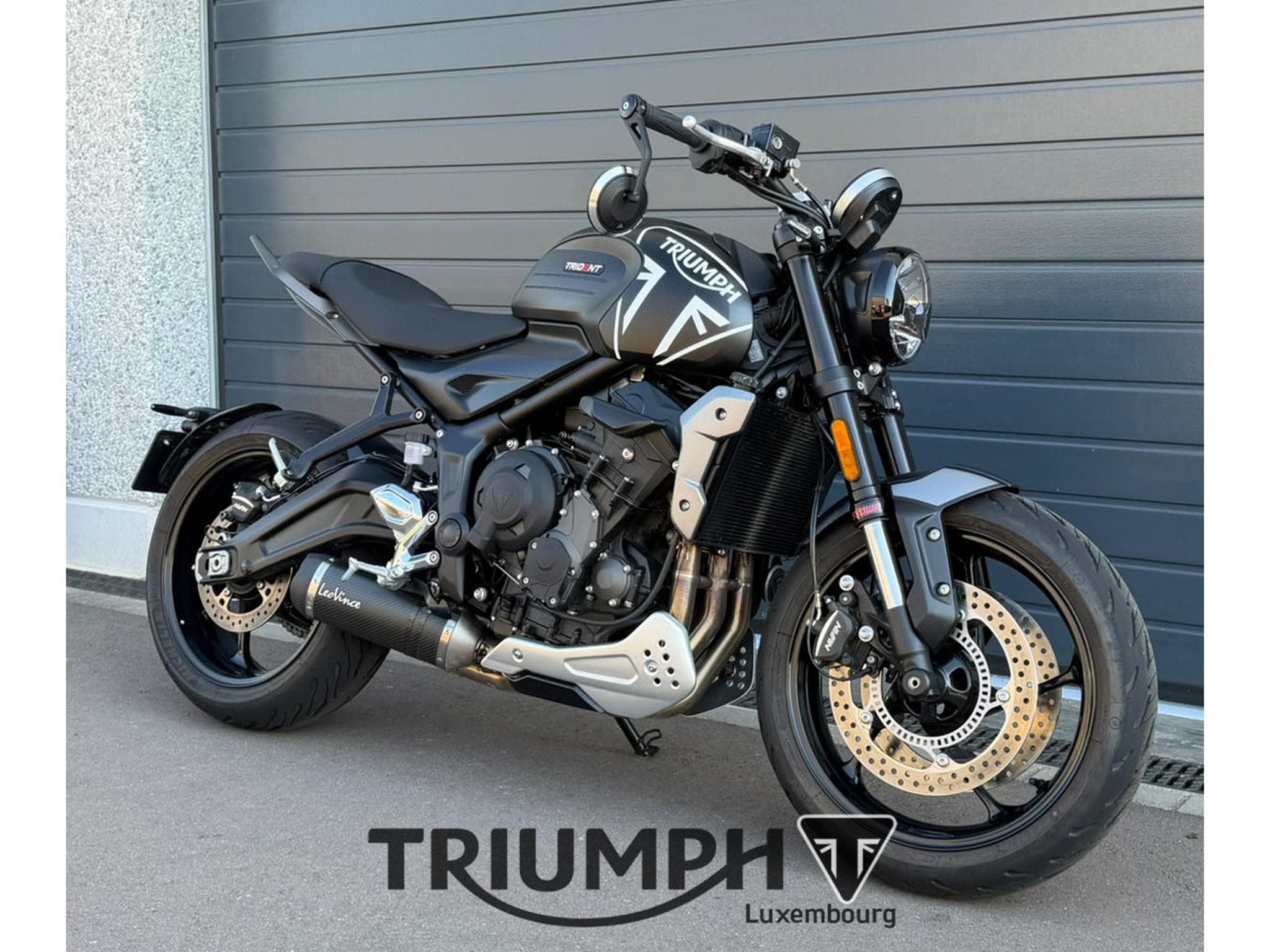 Triumph Trident TRIDENT 660 (2024) - Foto 6