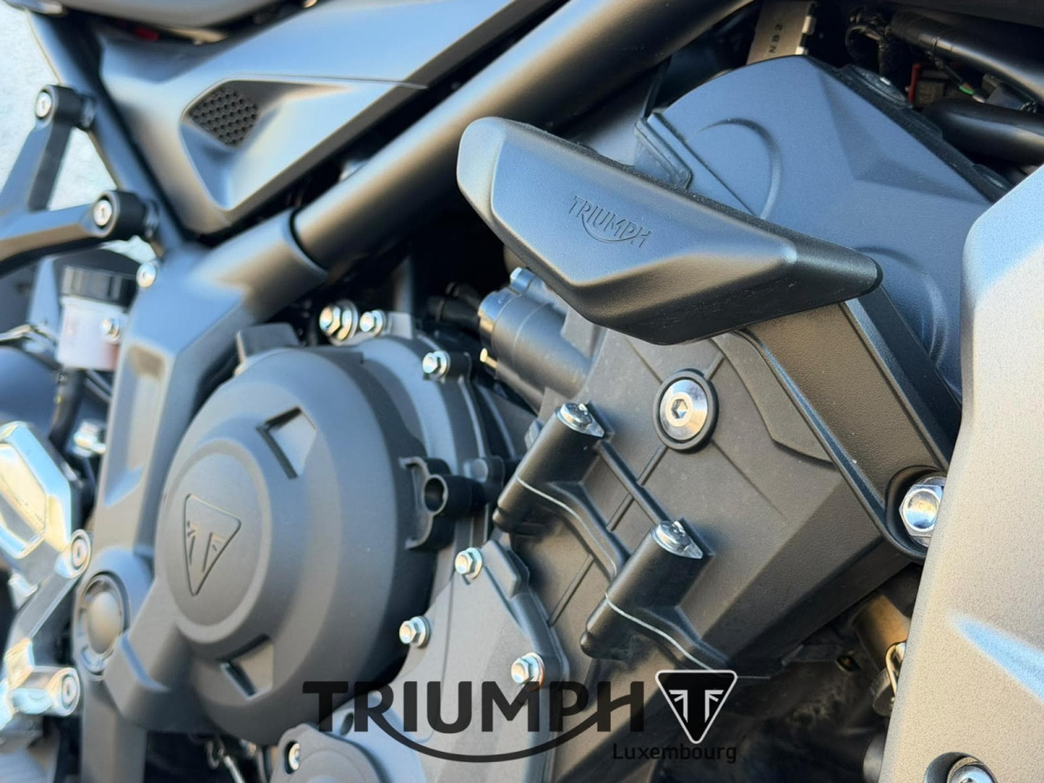 Triumph Trident TRIDENT 660 (2024) - Foto 11