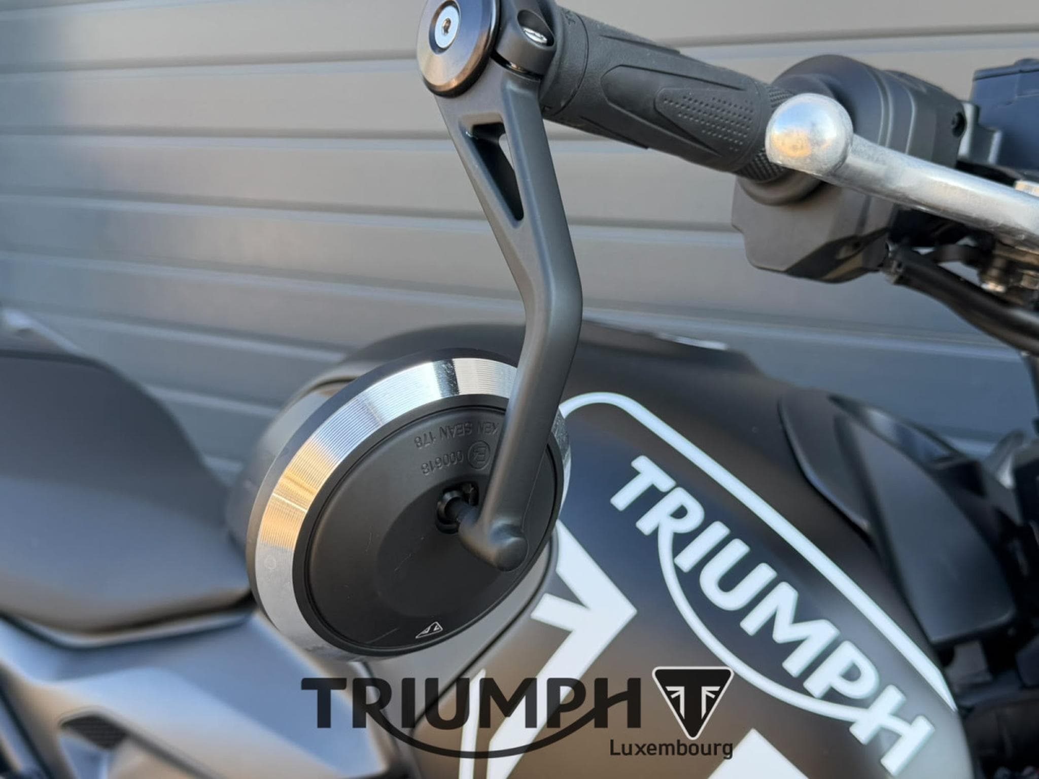 Triumph Trident TRIDENT 660 (2024) - Foto 13