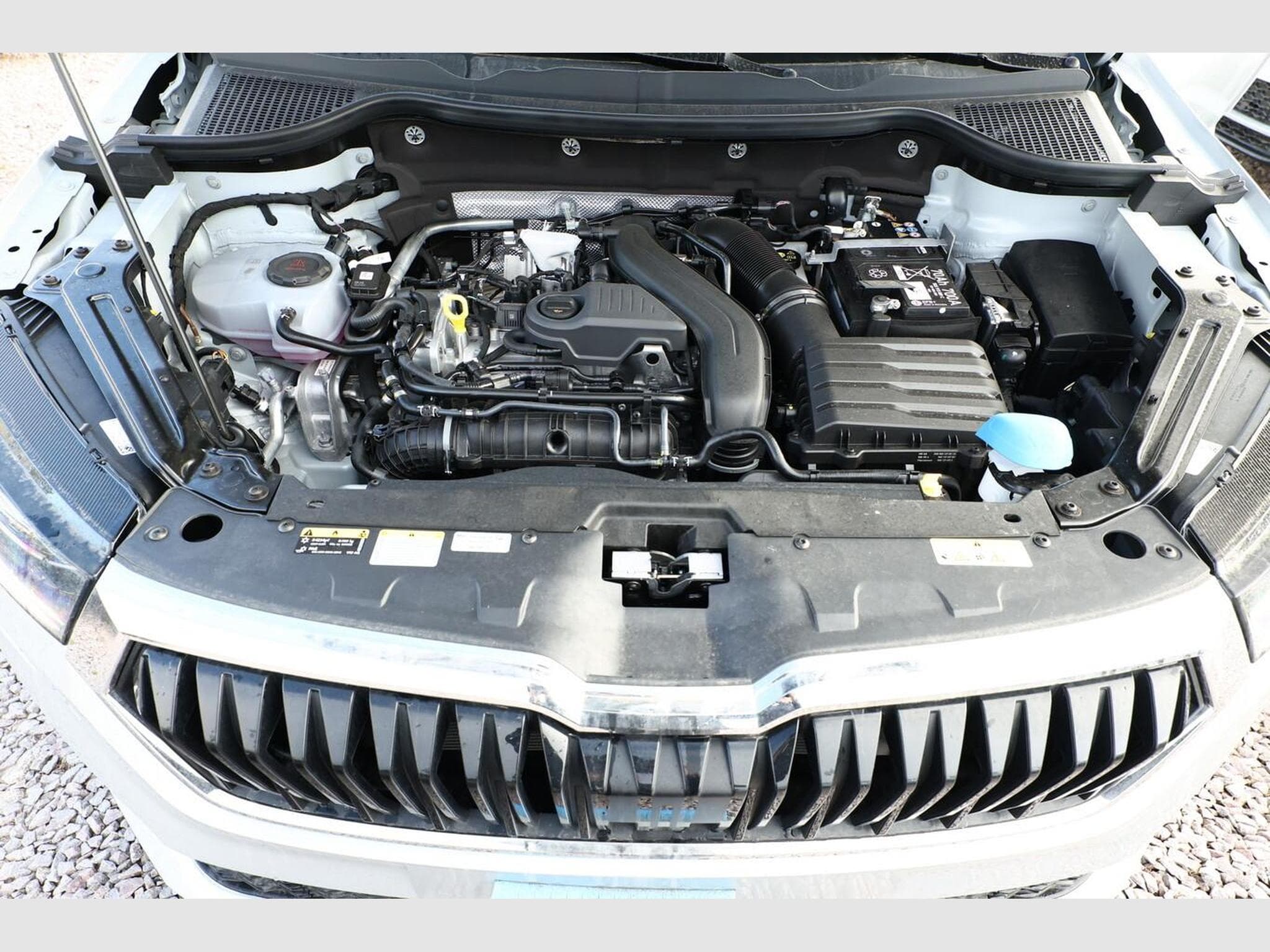 Skoda Karoq Selection (2025) - Foto 12