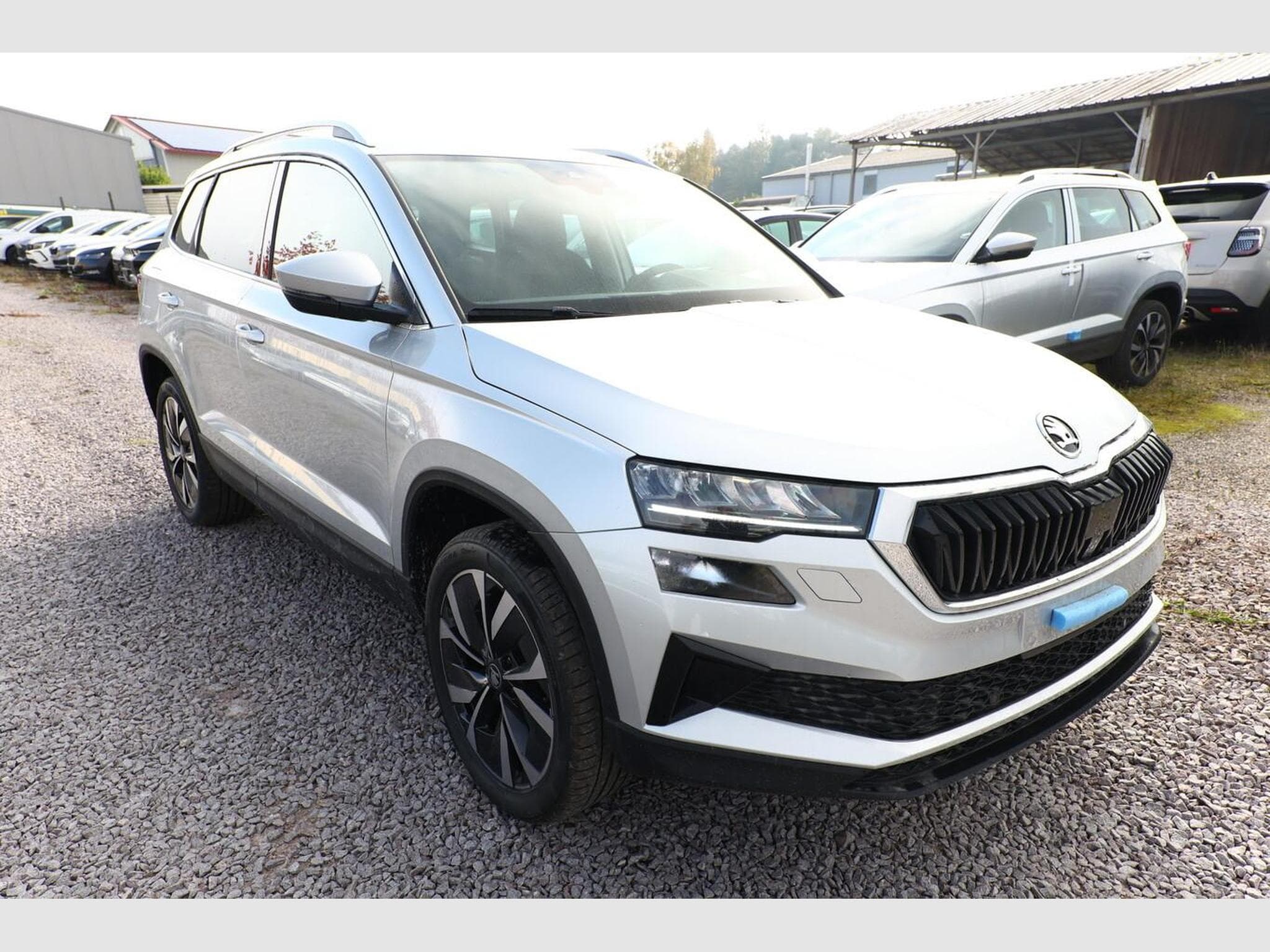 Skoda Karoq Selection (2025) - Foto 2