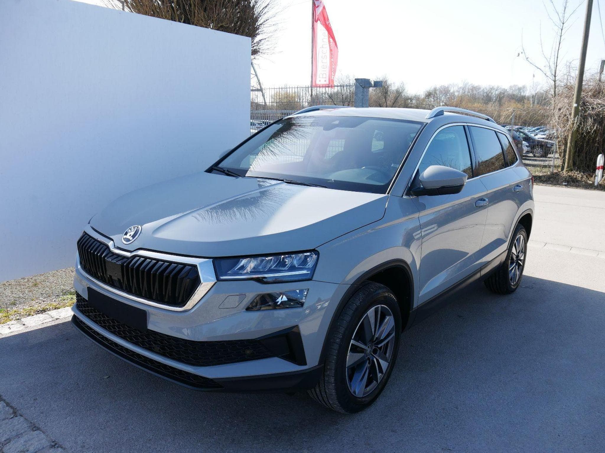 Skoda Karoq Selection (2025) - Foto 1